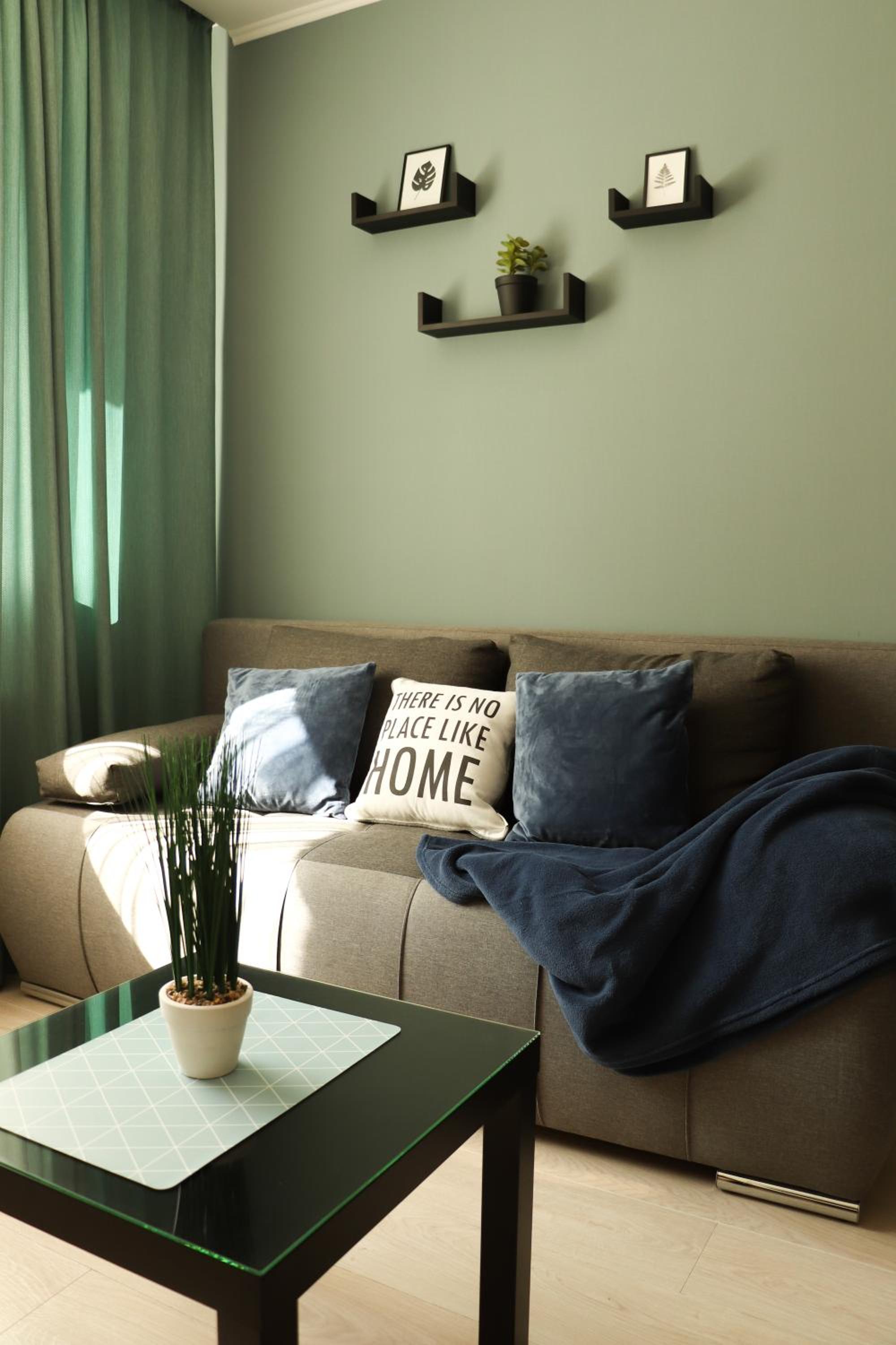 One-Bedroom Apartment photo 2