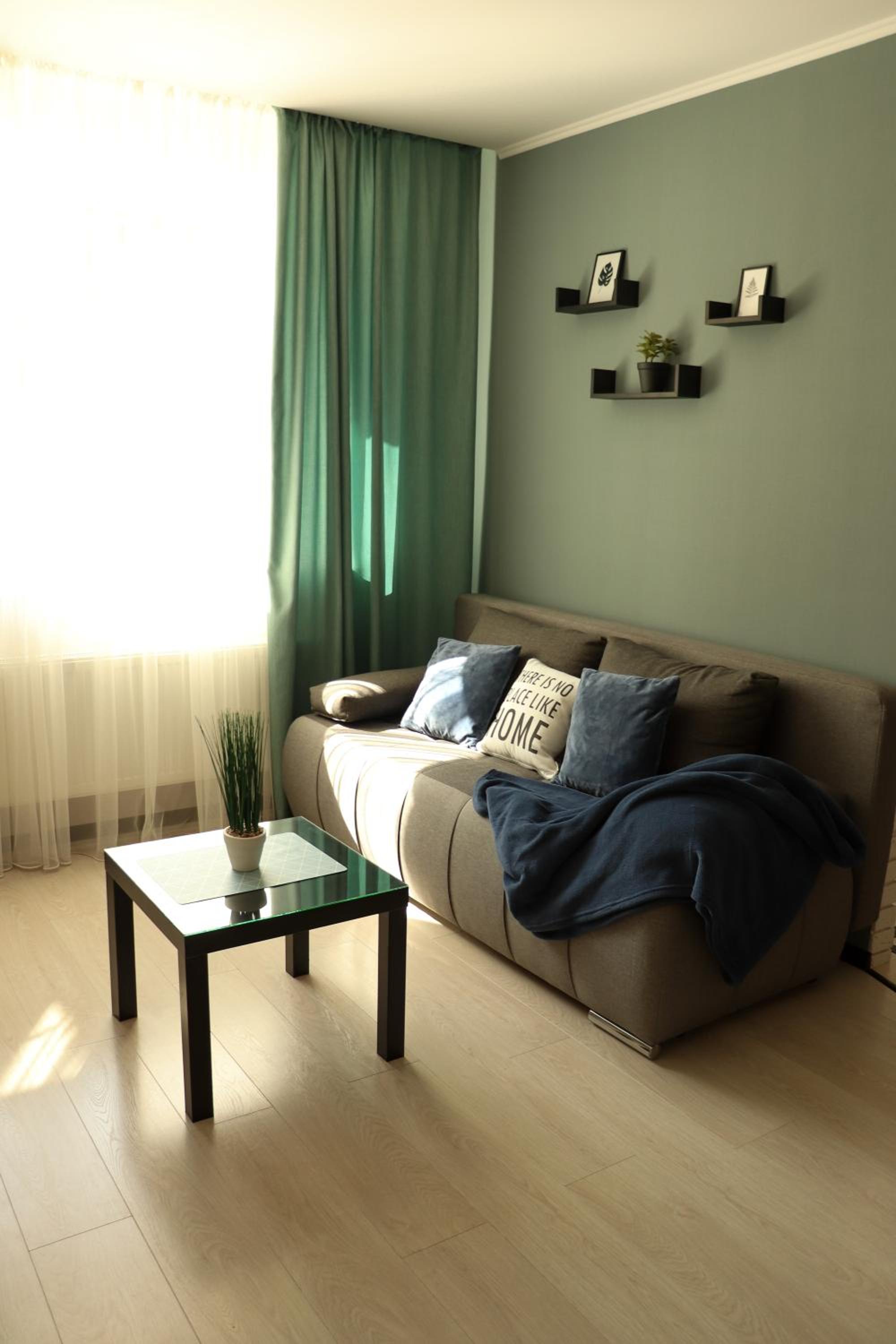 One-Bedroom Apartment photo 3