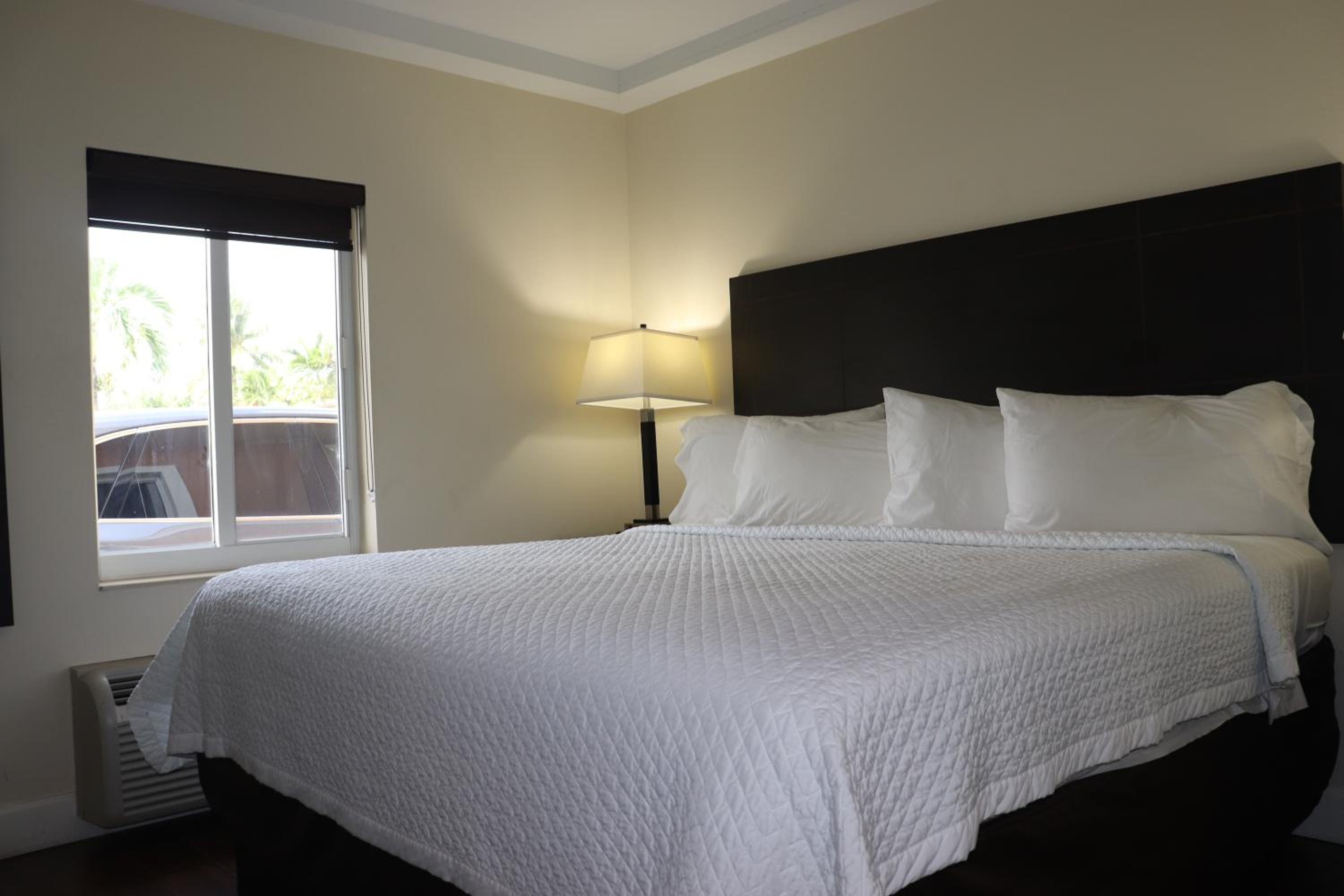 One-Bedroom Suite photo 2