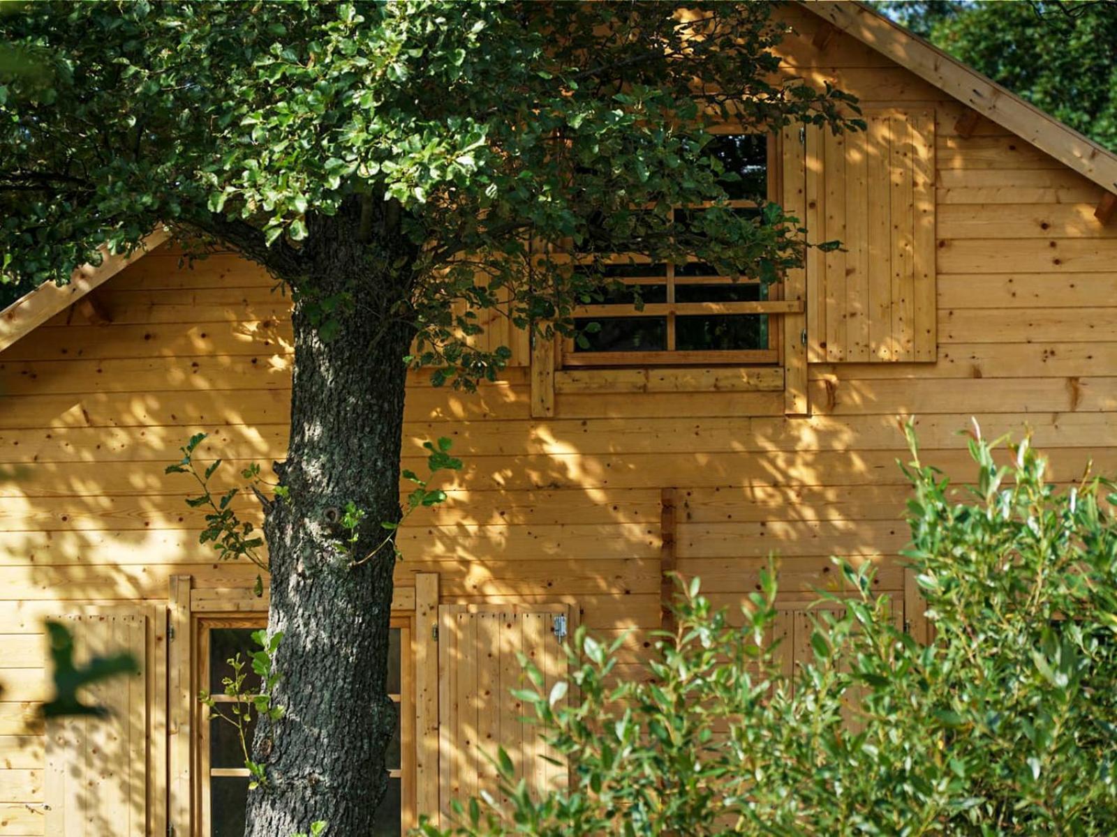 Three-Bedroom Chalet - Photo 9