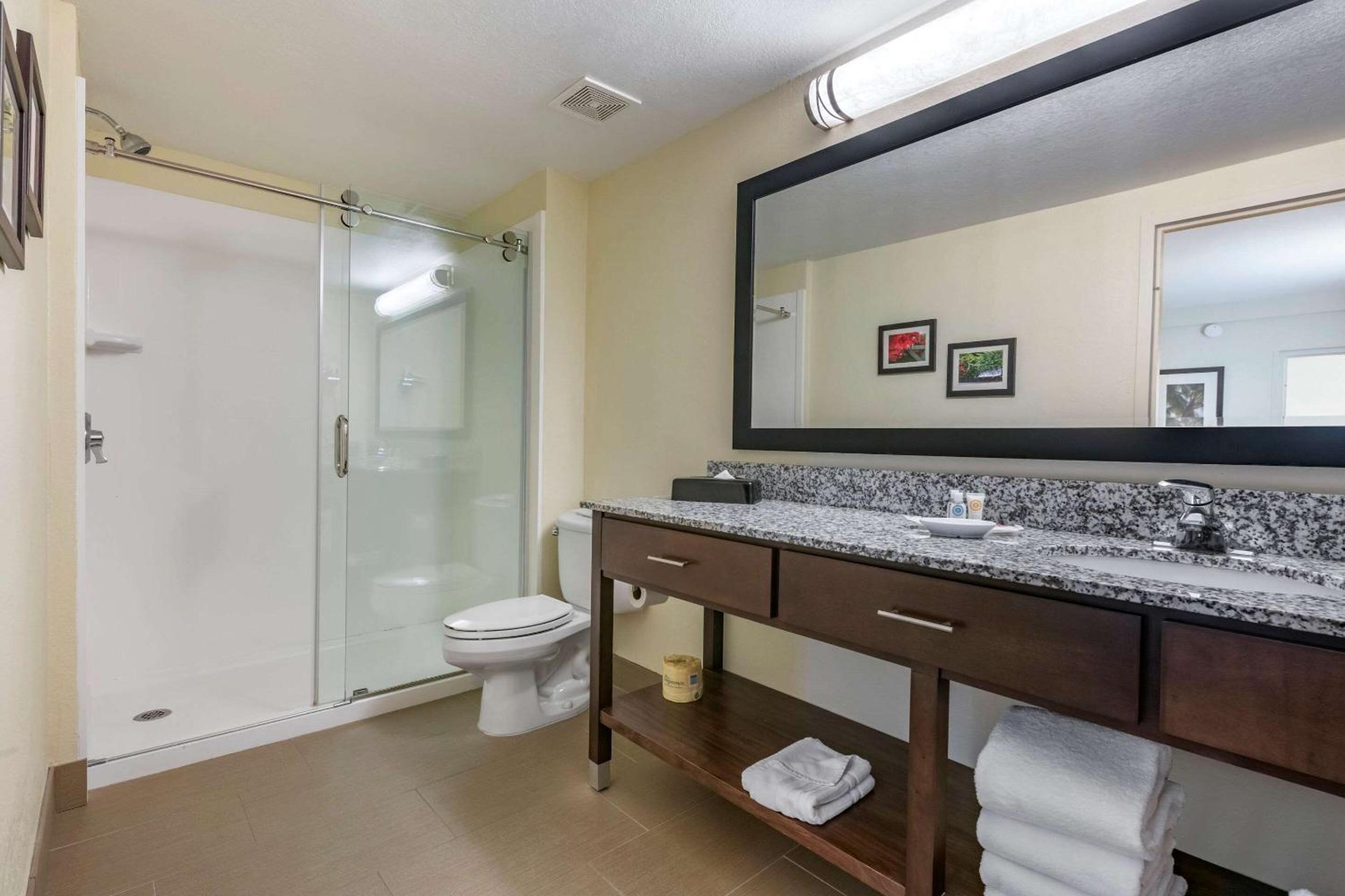 One-Bedroom King Suite with Two Bathrooms thumbnail 5