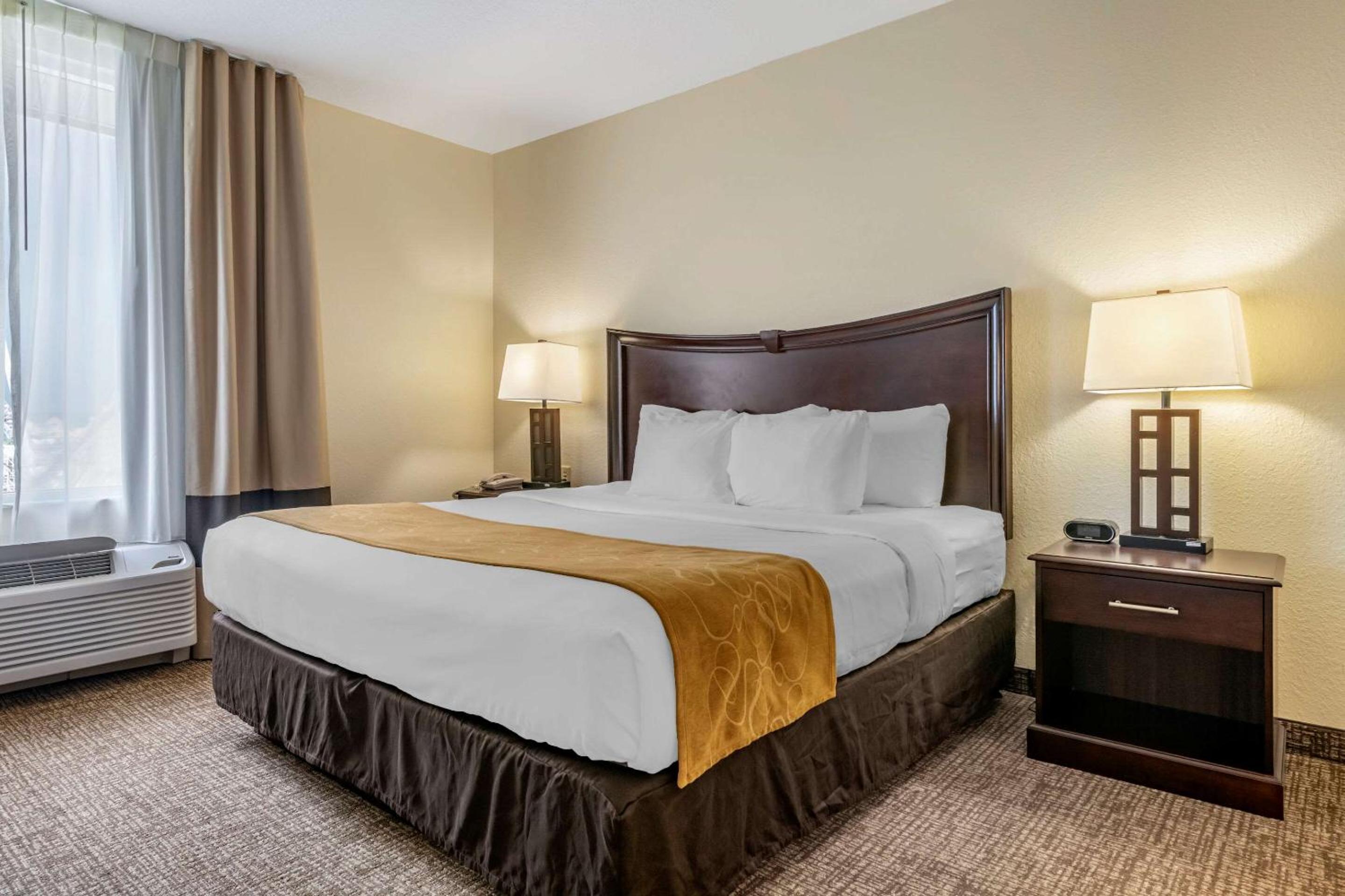 One-Bedroom King Suite with Sofa Bed - Non-Smoking