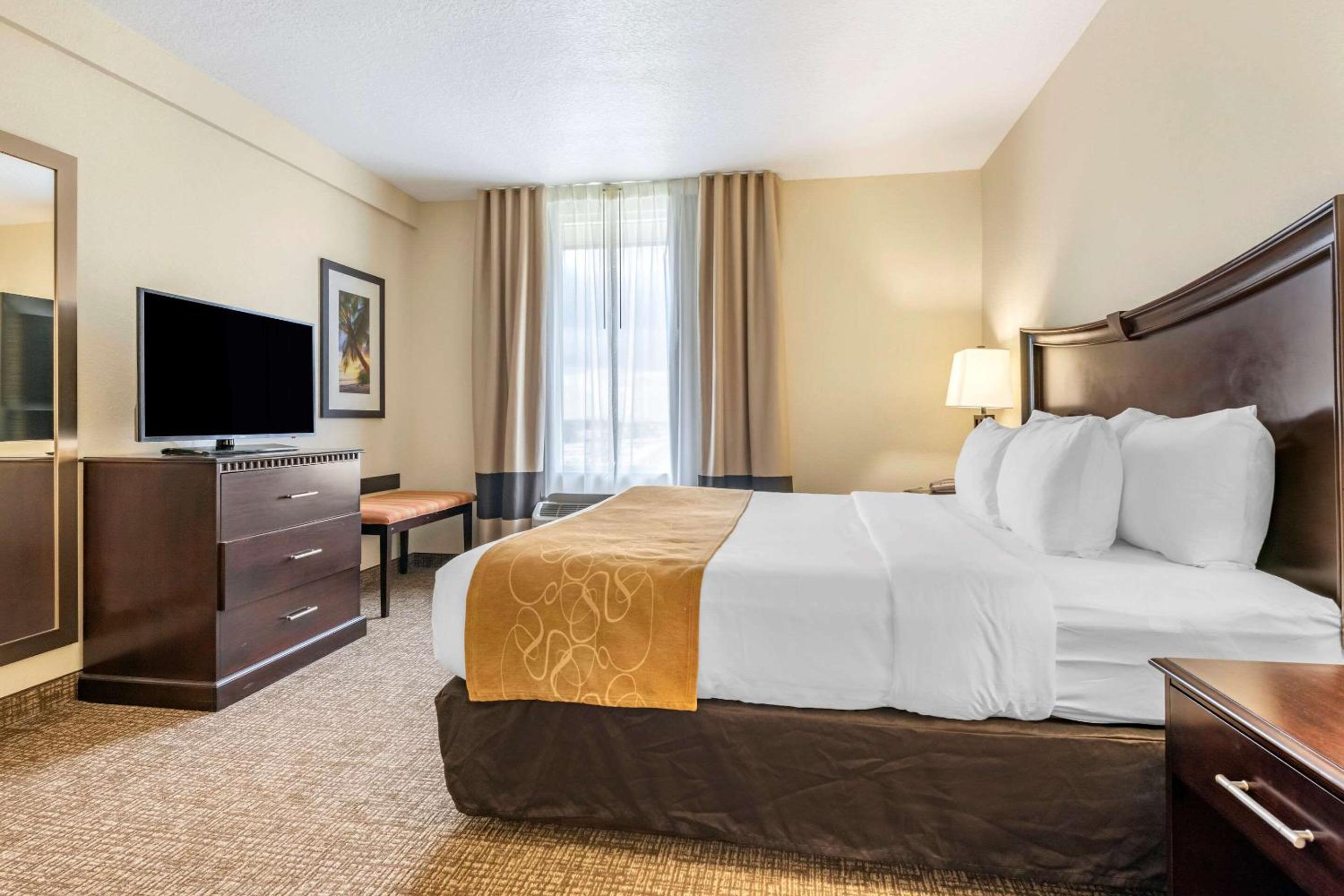 One-Bedroom King Suite with Sofa Bed - Non-Smoking