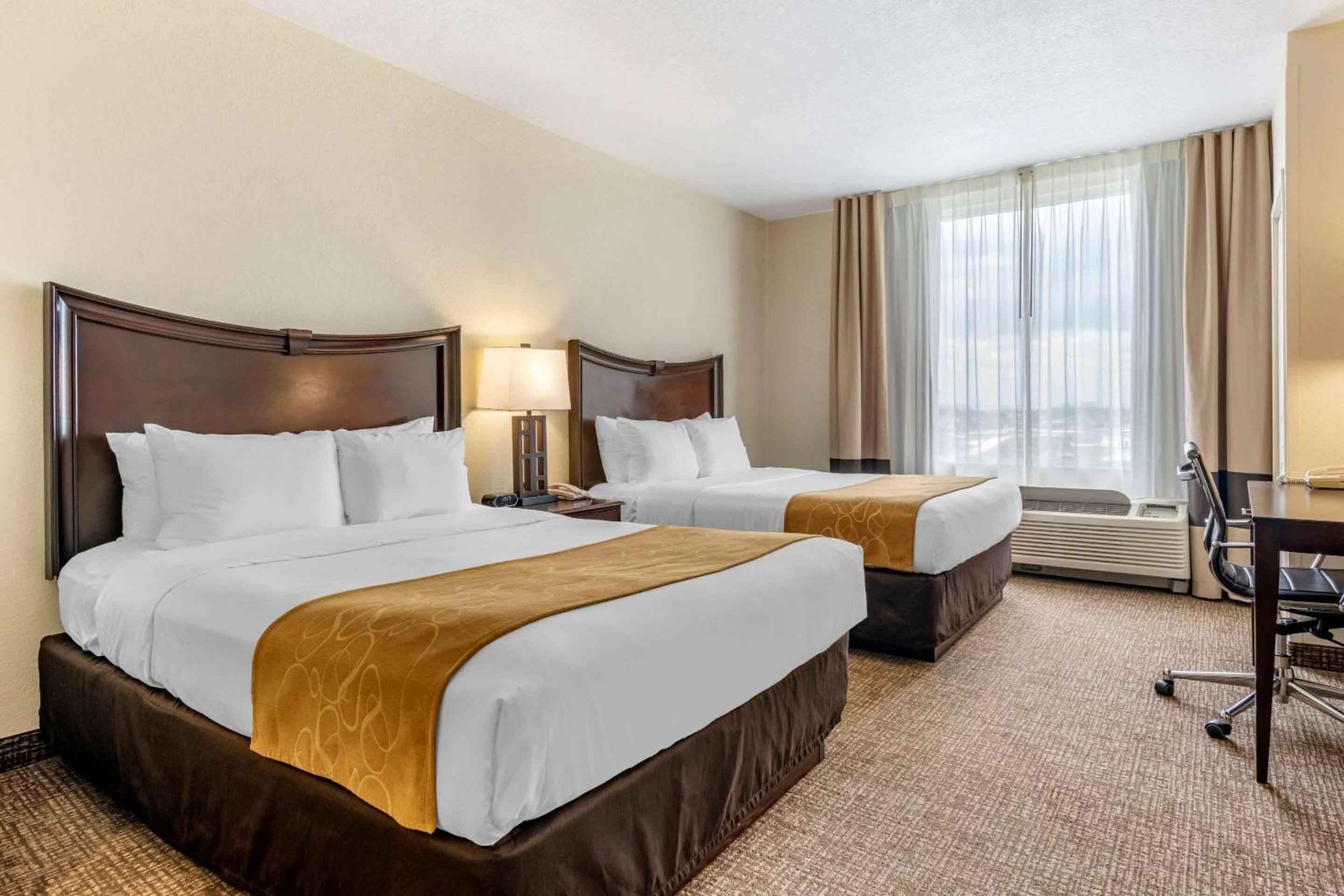 Queen Suite