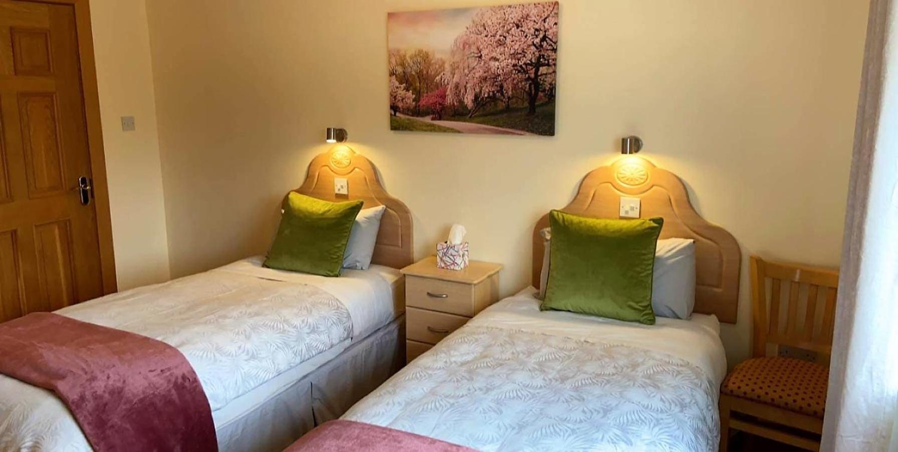 Deluxe Twin Room - Photo 1