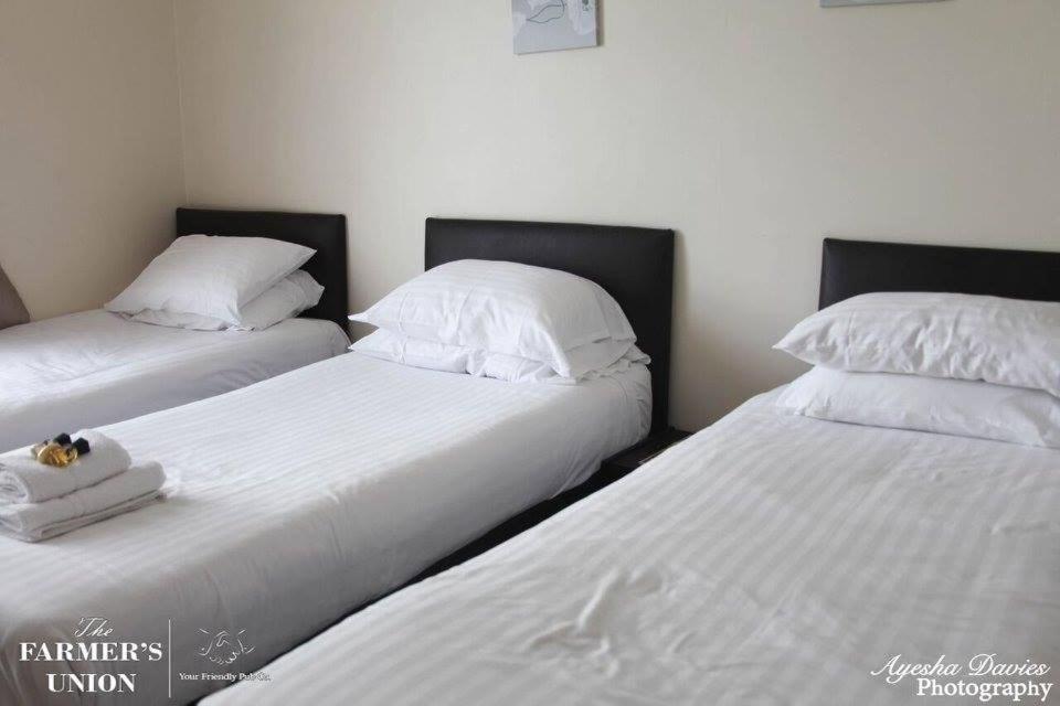 Standard Triple Room photo 1
