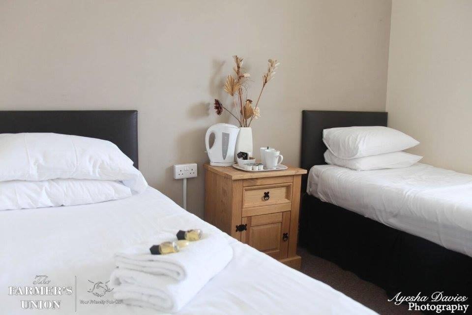 Standard Twin Room - Photo 1