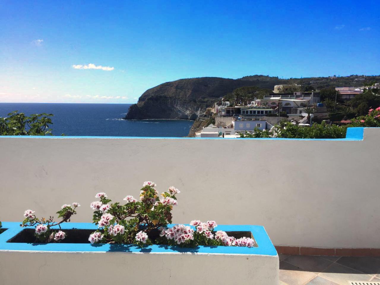 Apartment with Terrace - Photo 14