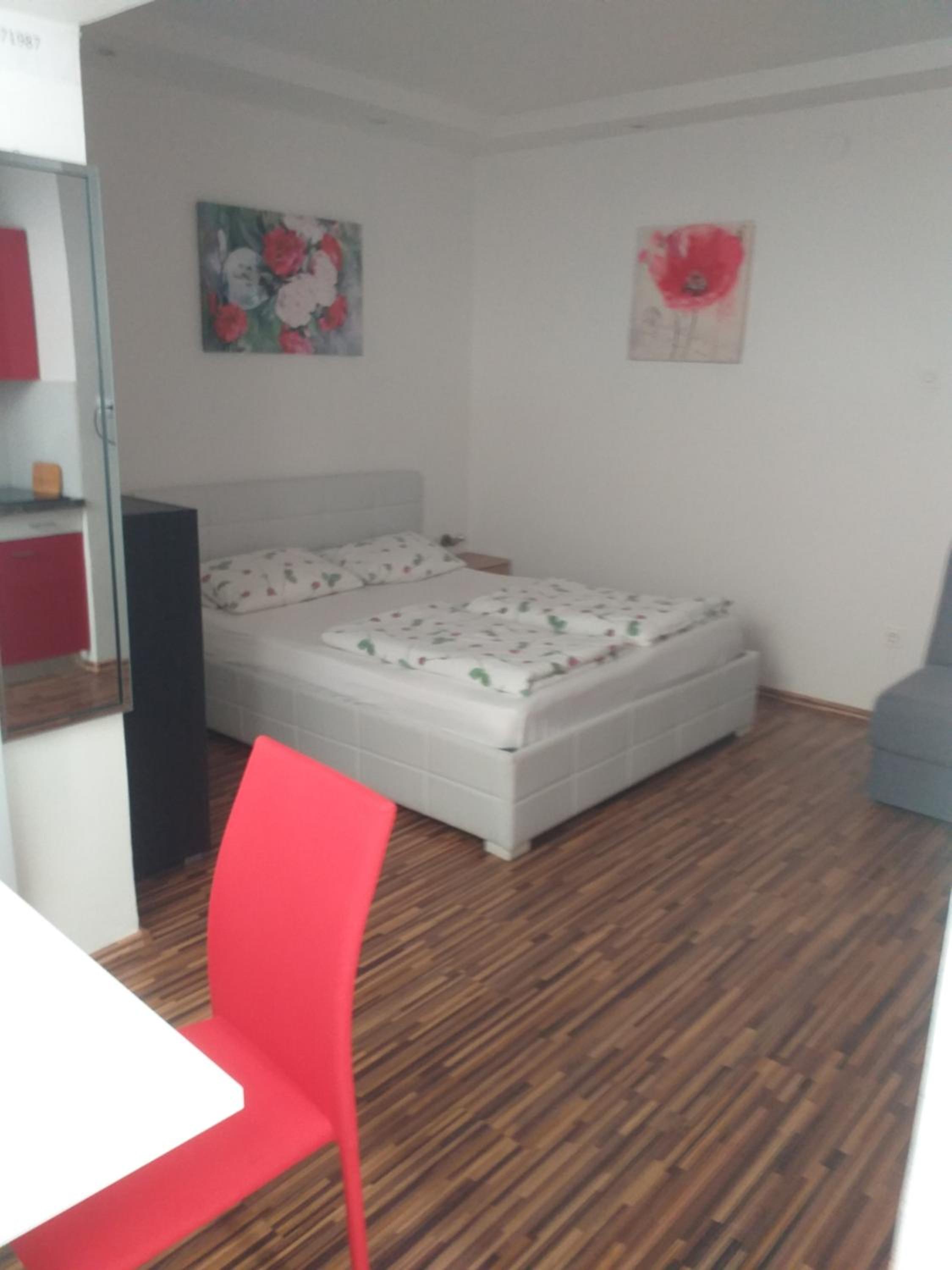 Studio Apartment photo 3