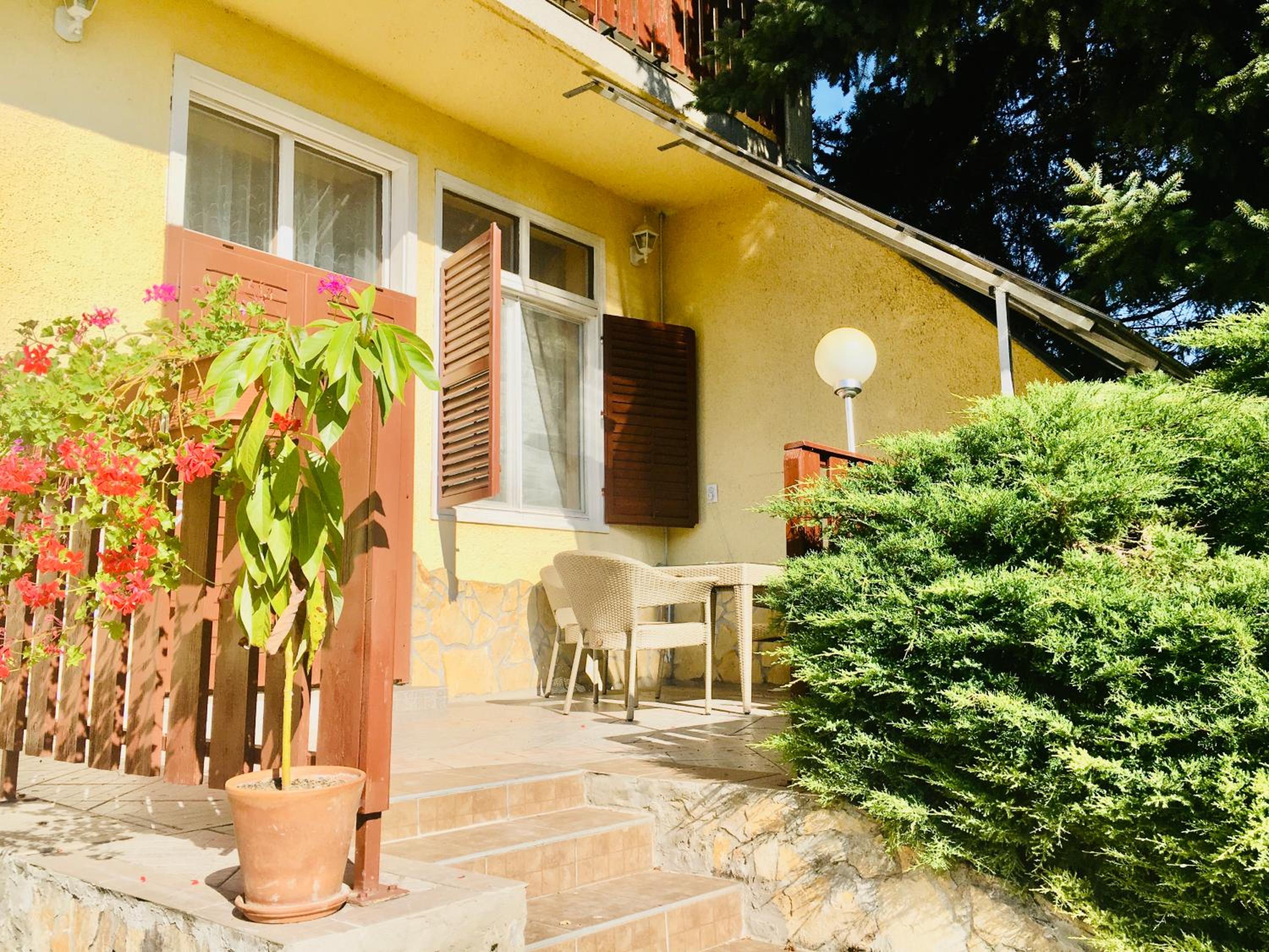 Apartment with Terrace photo 3