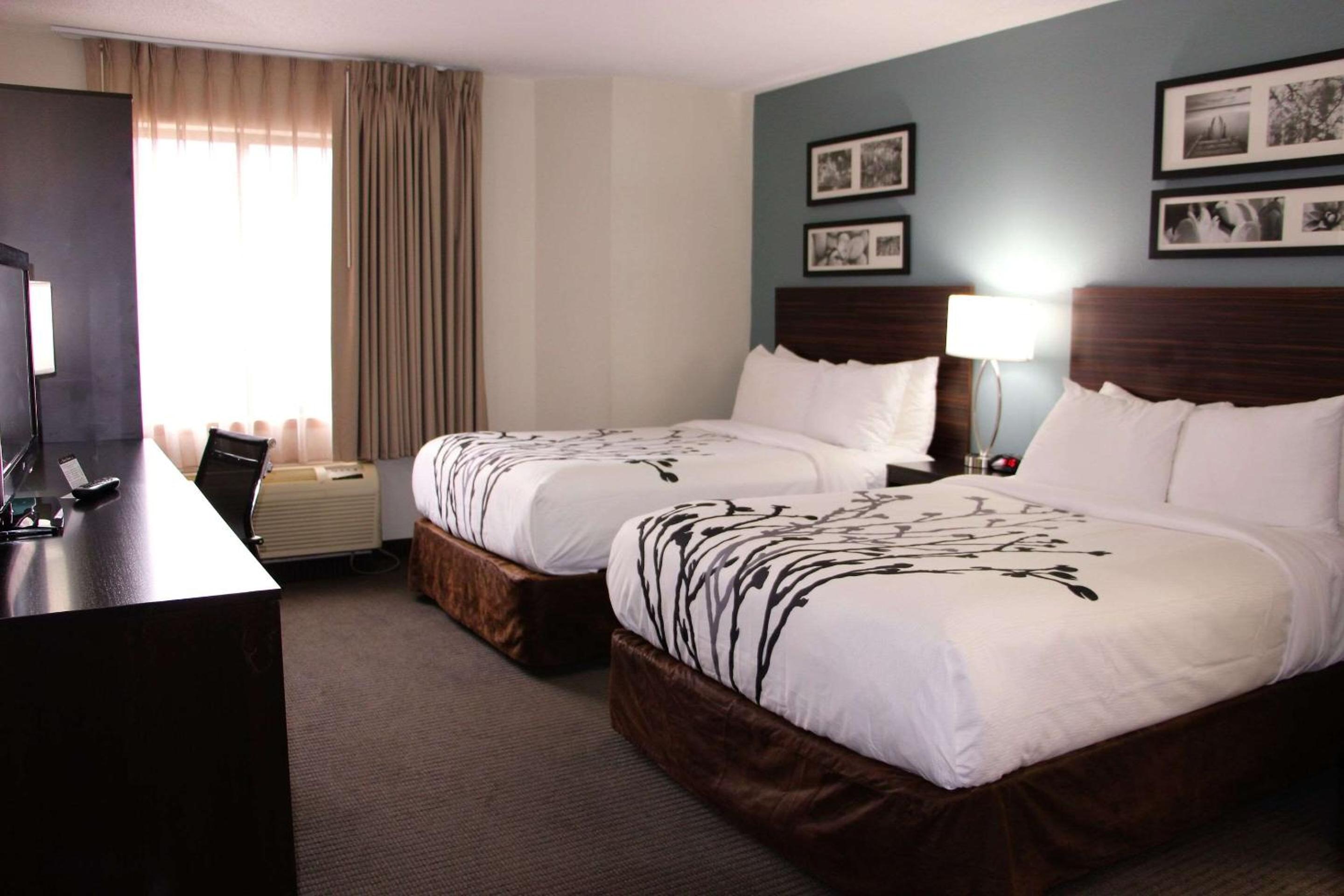 Standard Double Room with Two Double Beds - Non-Smoking - Photo 1