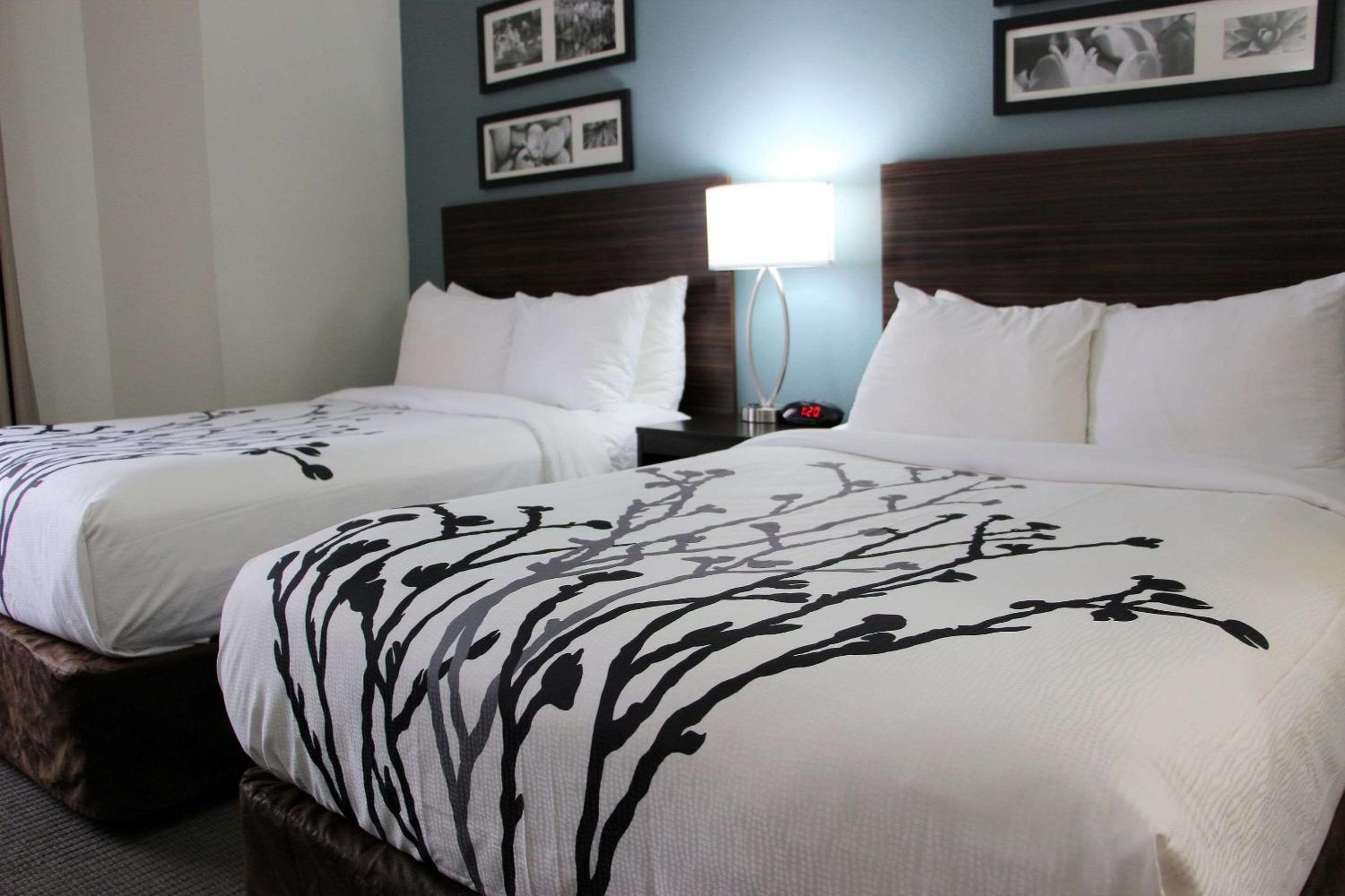 Standard Double Room with Two Double Beds - Non-Smoking - Photo 6