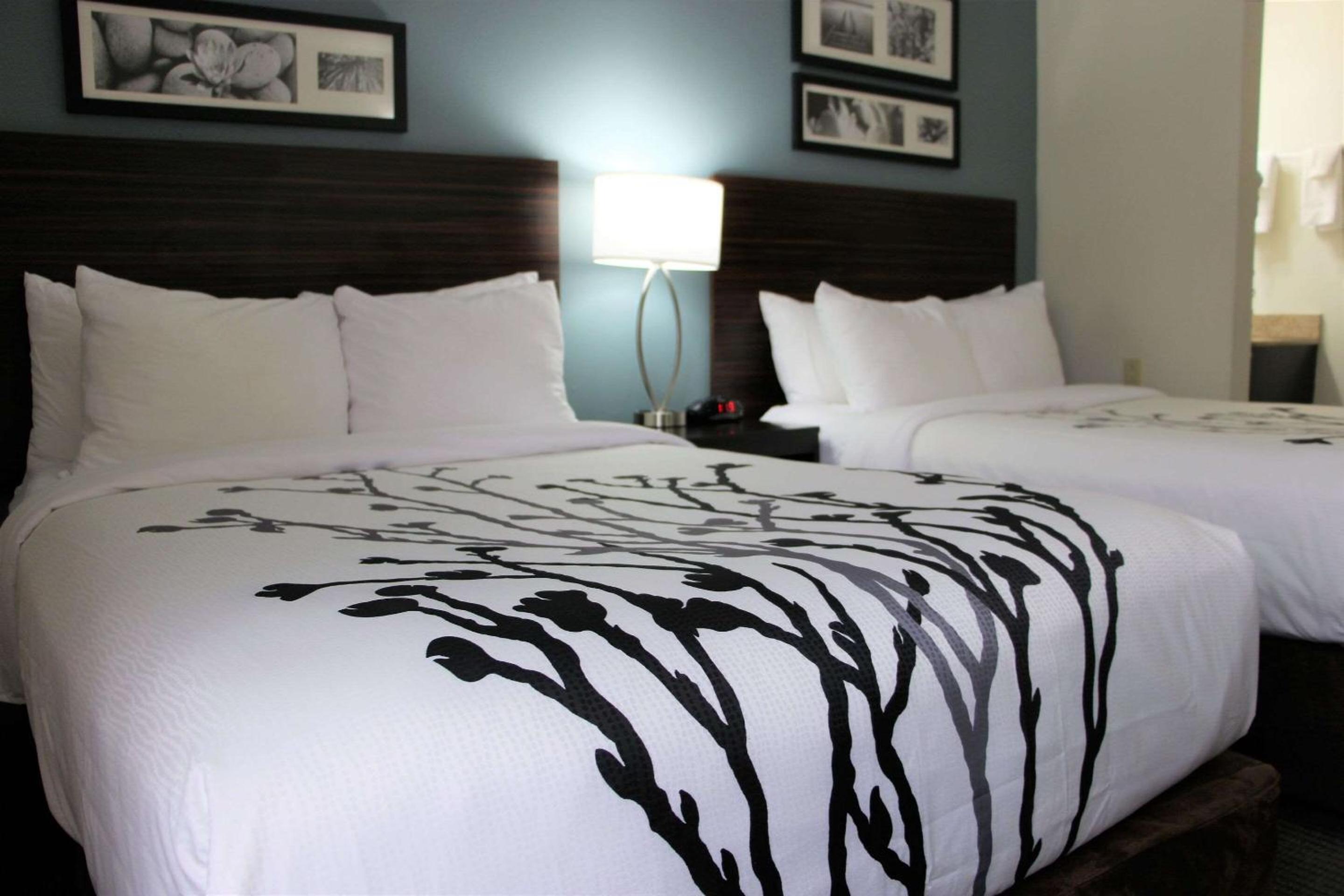 Standard Double Room with Two Double Beds - Non-Smoking - Photo 2