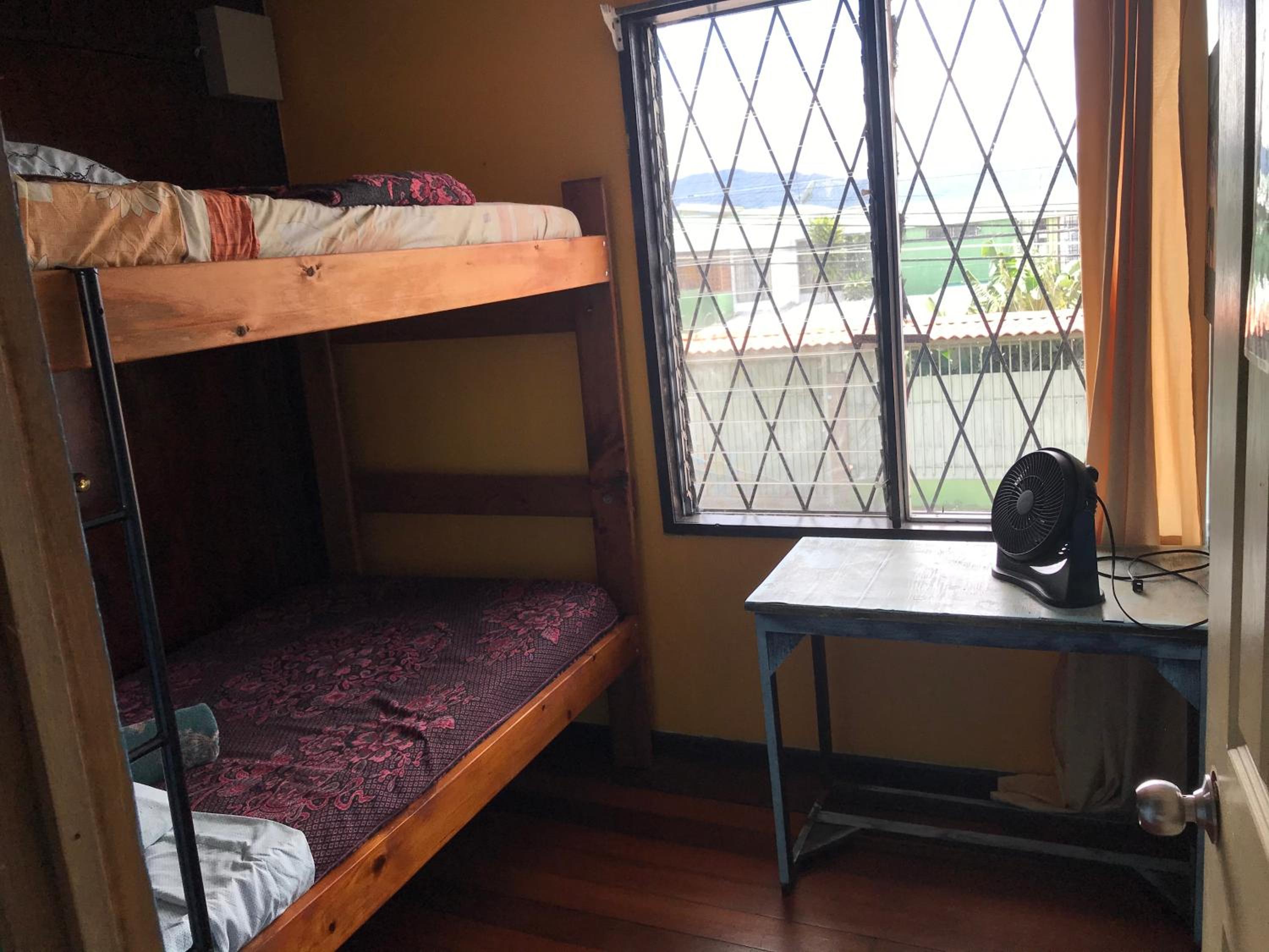 Twin Room photo 3