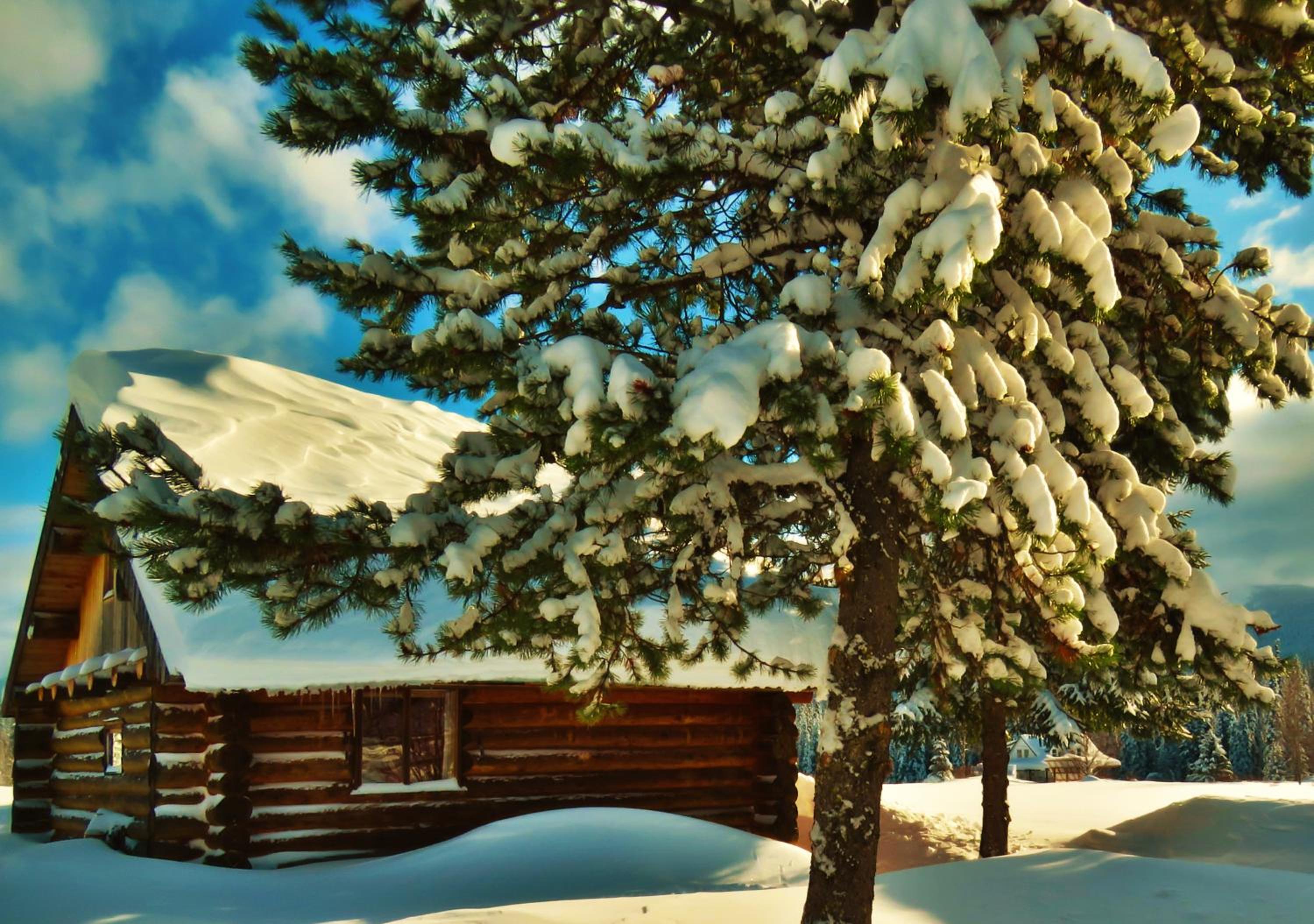 Chalet photo 3