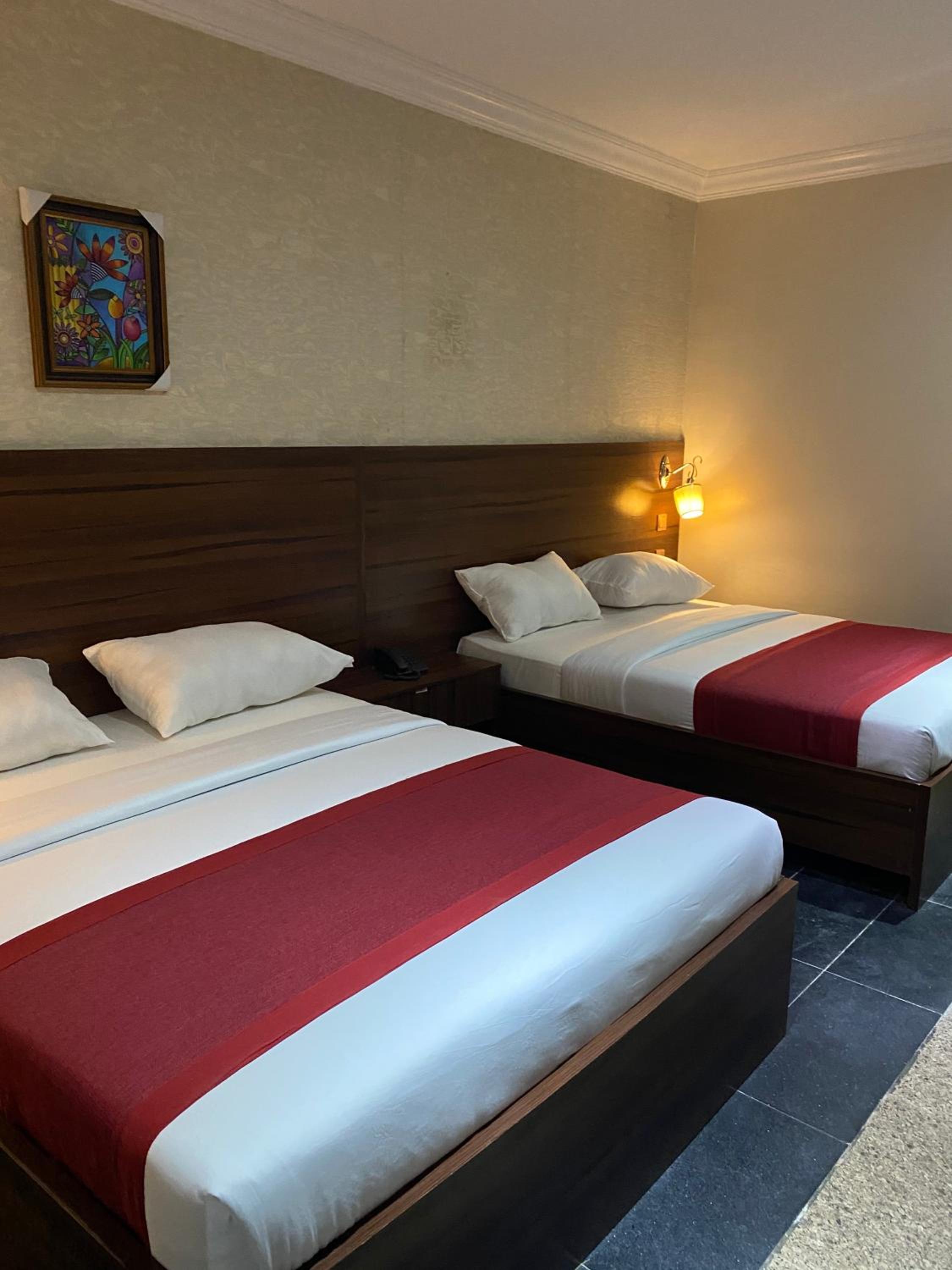 Deluxe Twin Room - Photo 1