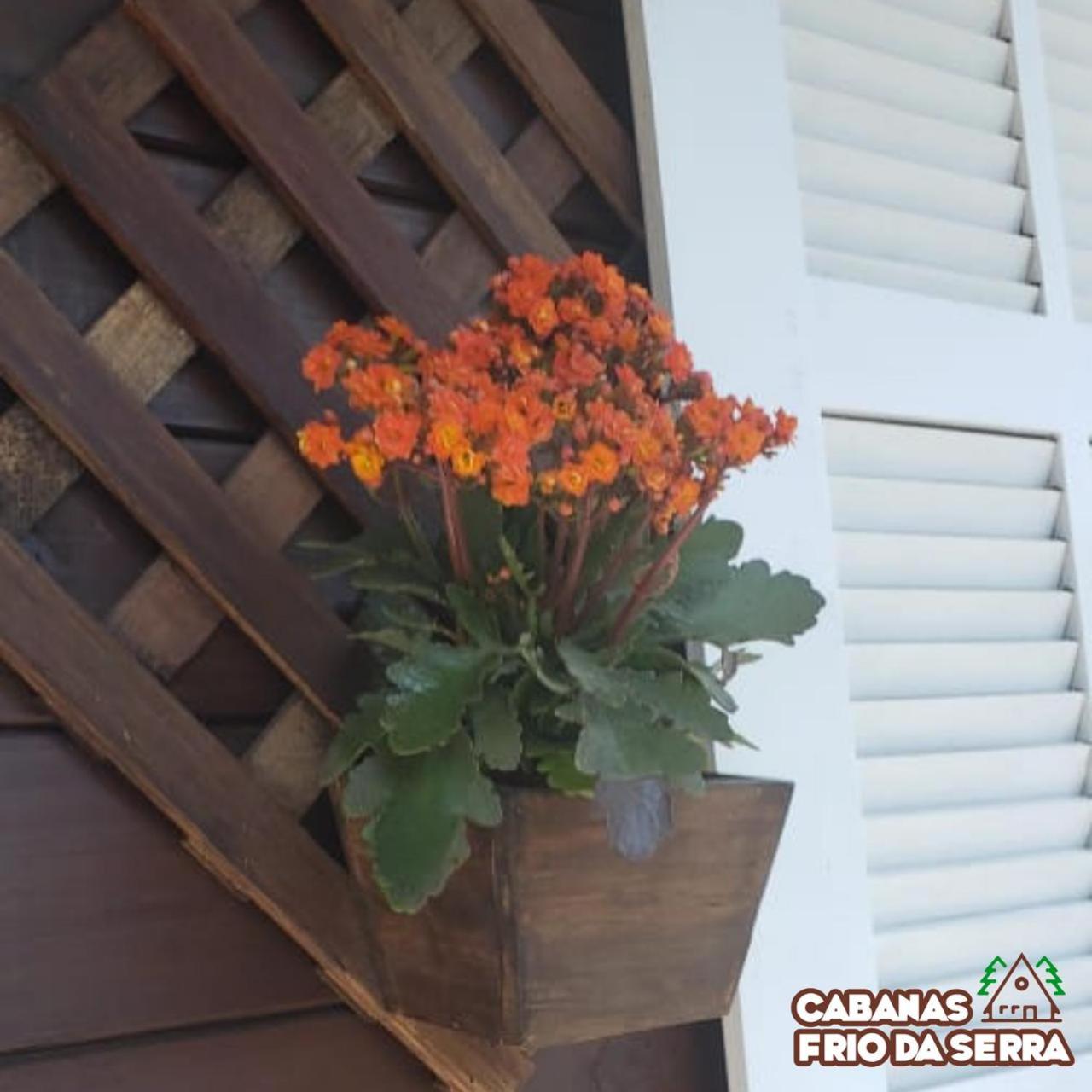 Chalet - Photo 3
