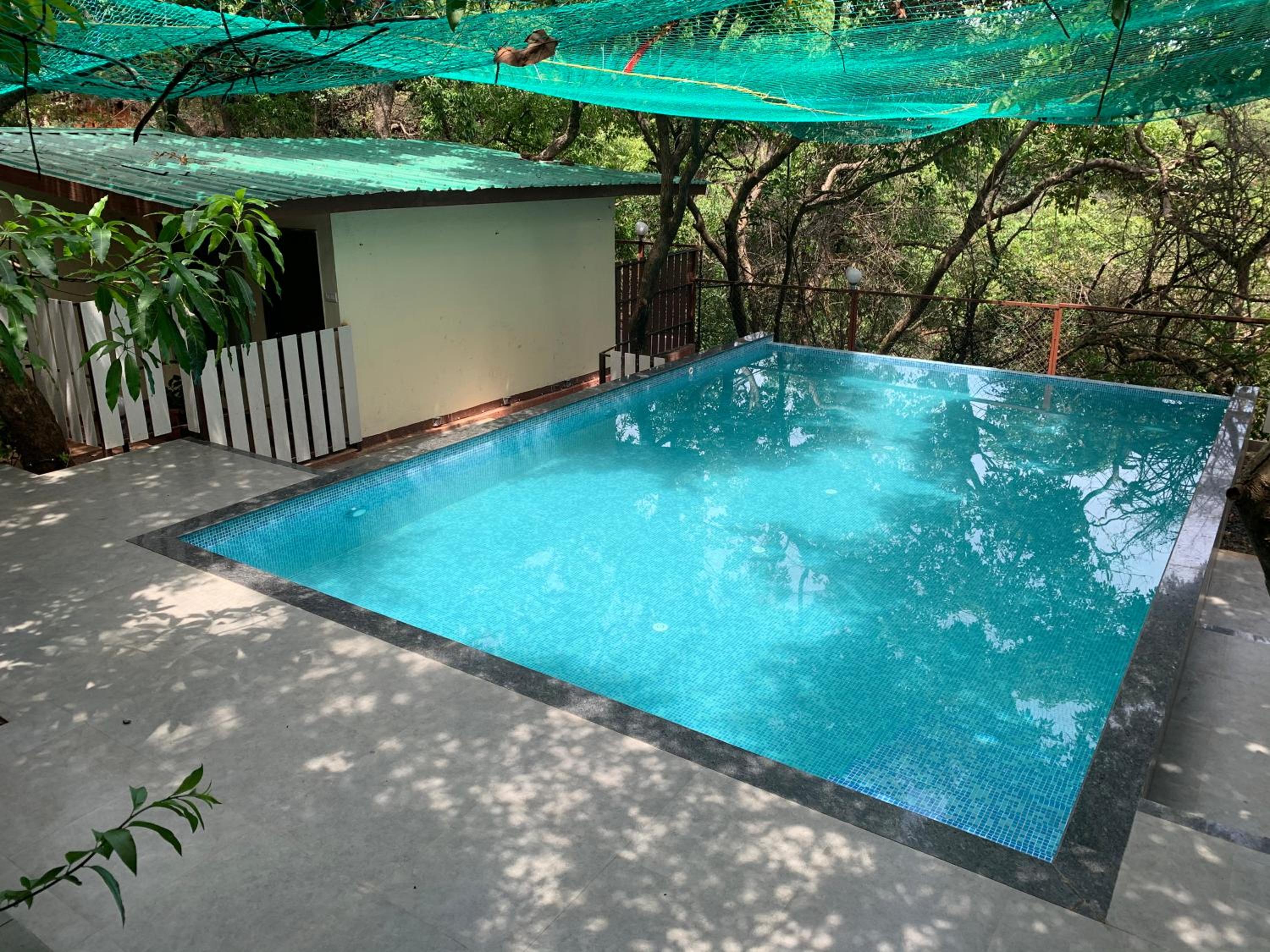 Premium Forest Chalet - Photo 9