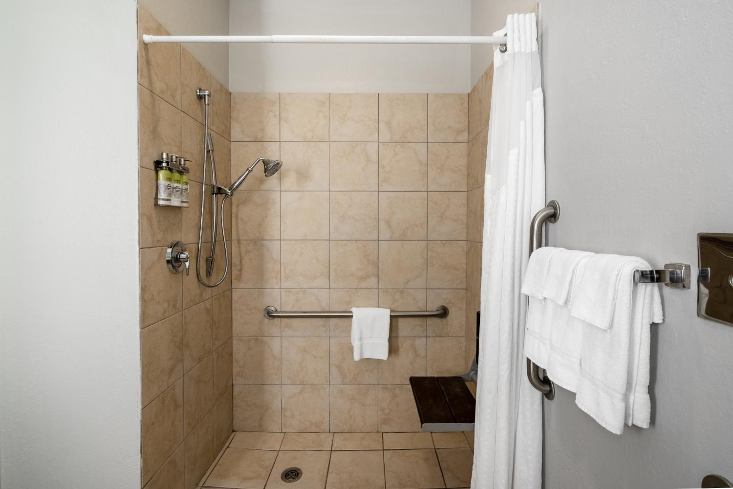 King Room - Disability Access Roll in Shower photo 2