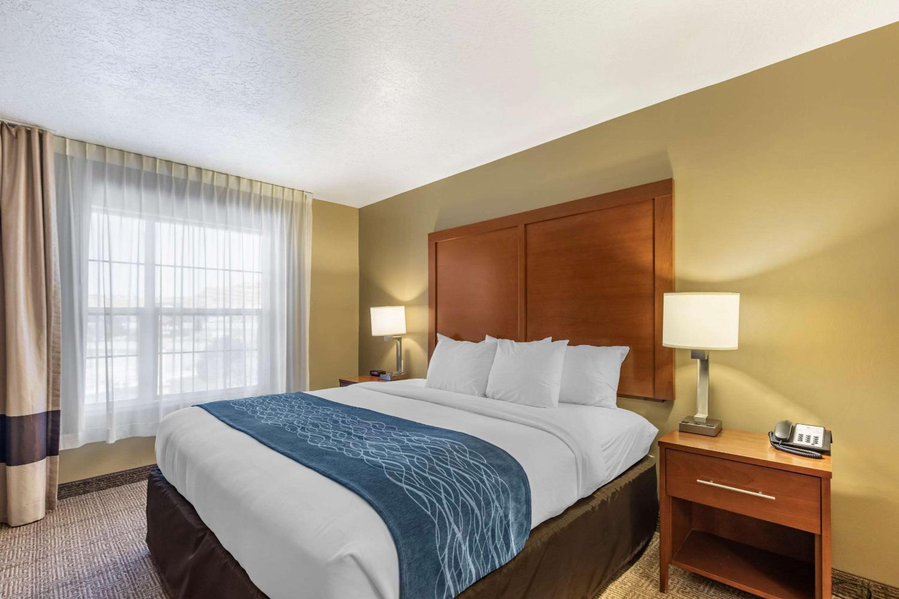 King Suite with Sofa Bed - Non-Smoking - Photo 1