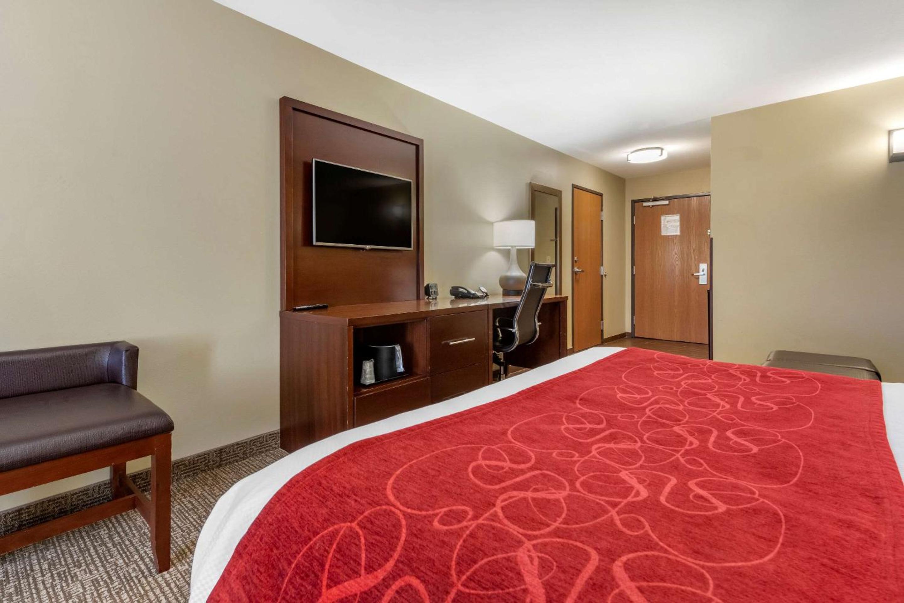 Queen Suite photo 2
