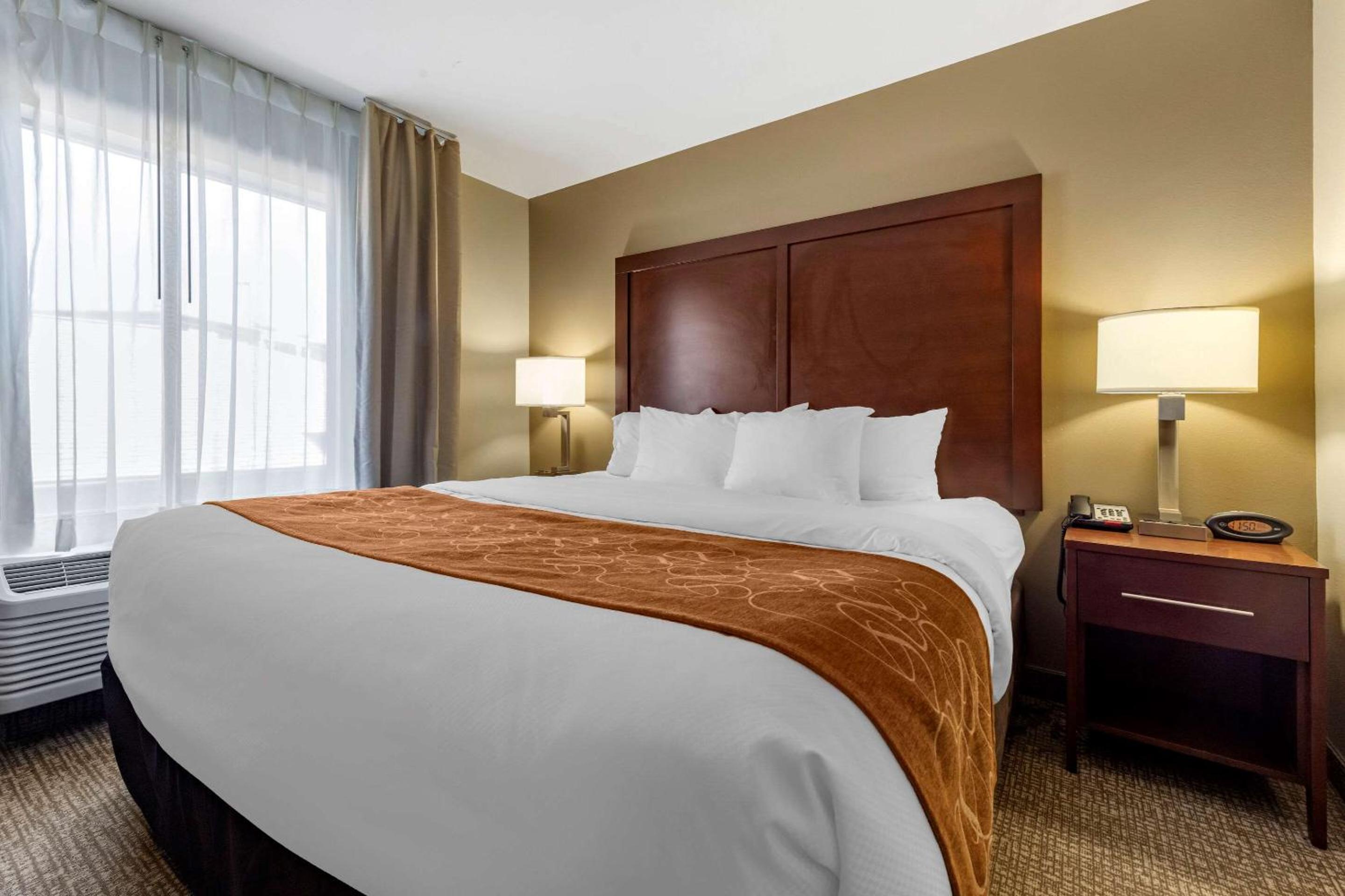 King Suite with Sofa Bed - Disability Access/Non-Smoking photo 2