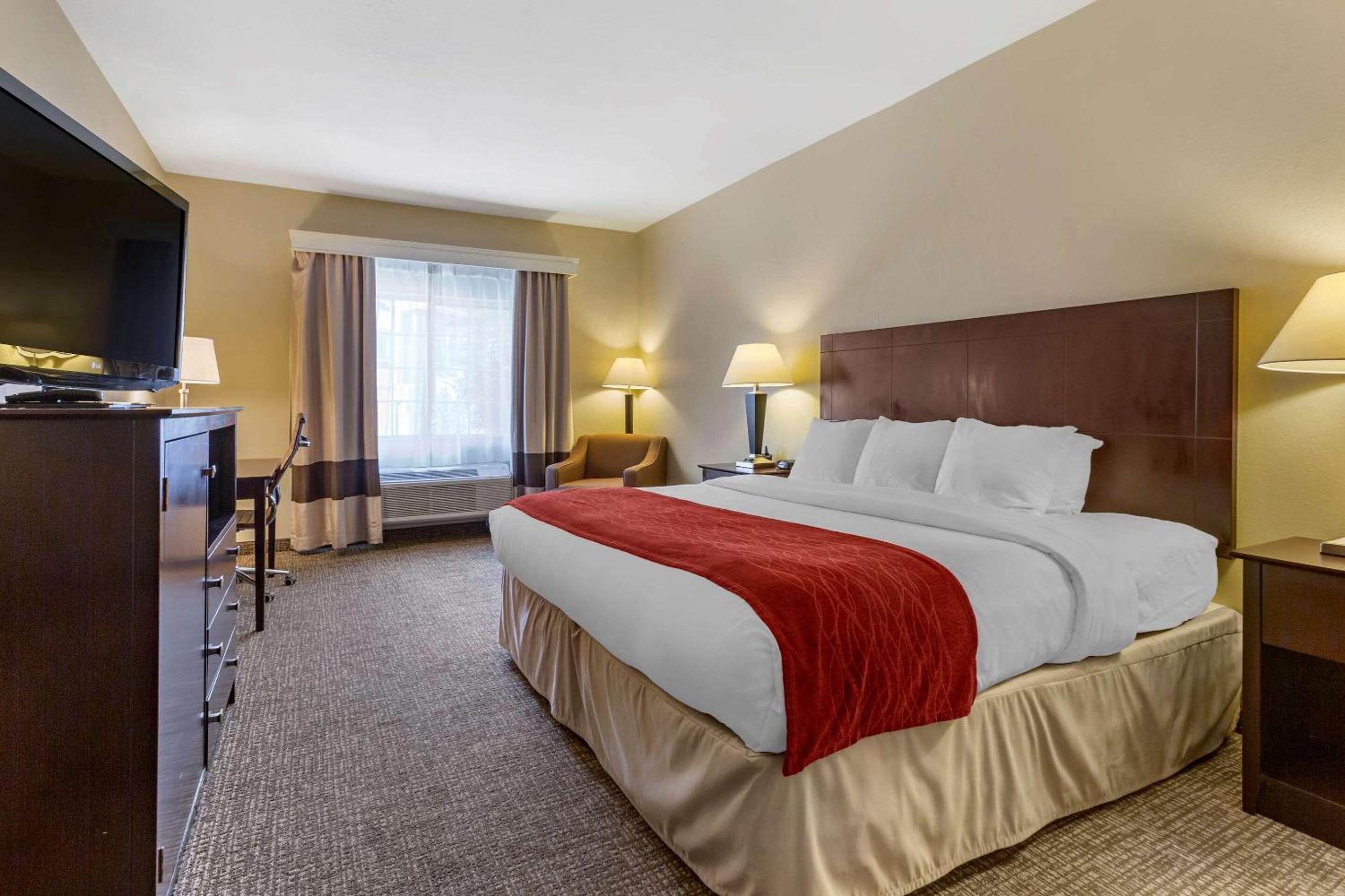 King Suite with Sofa Bed - Non-Smoking - Photo 5