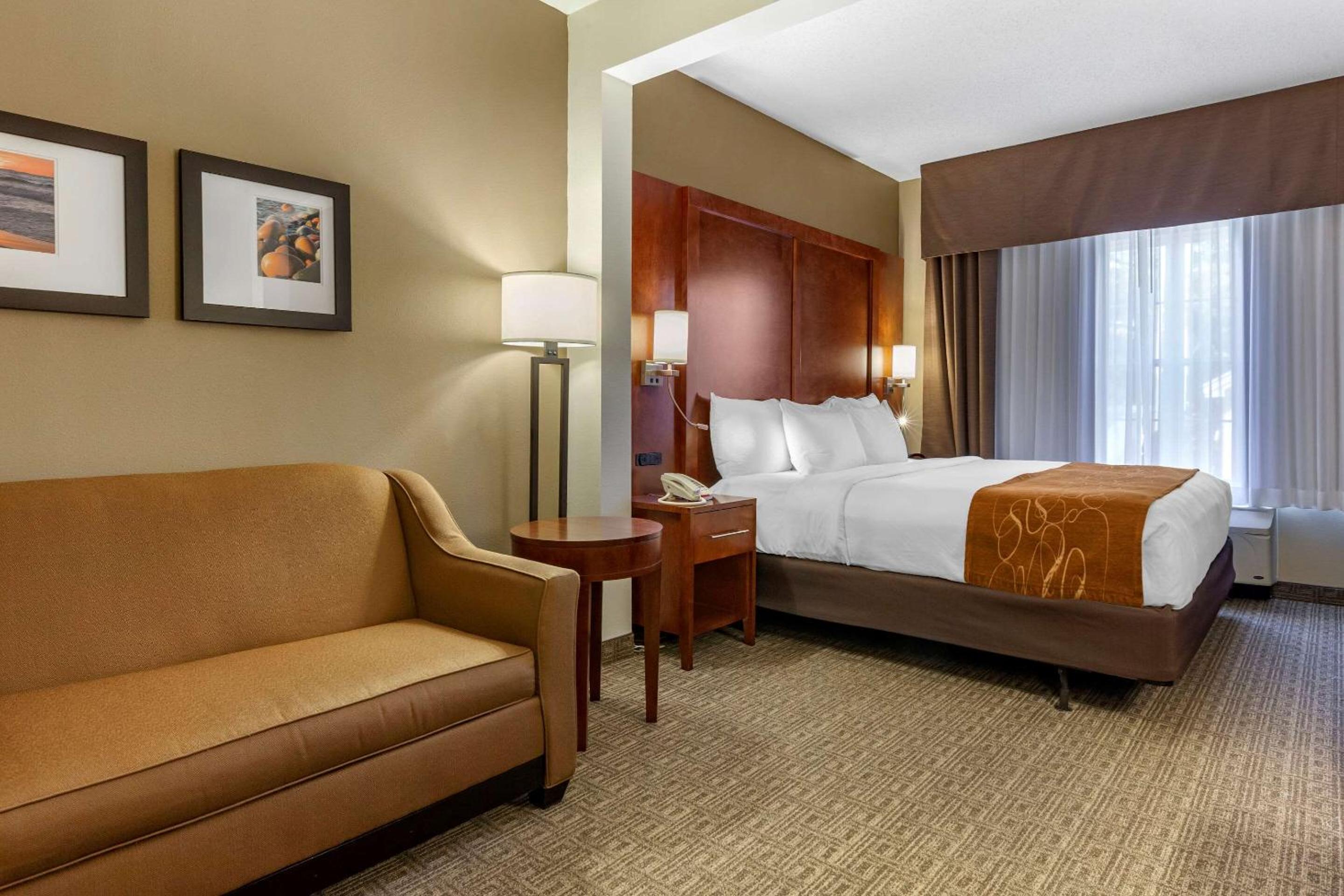 King Suite with Roll-In Shower - Accessible/Non-Smoking - Photo 4