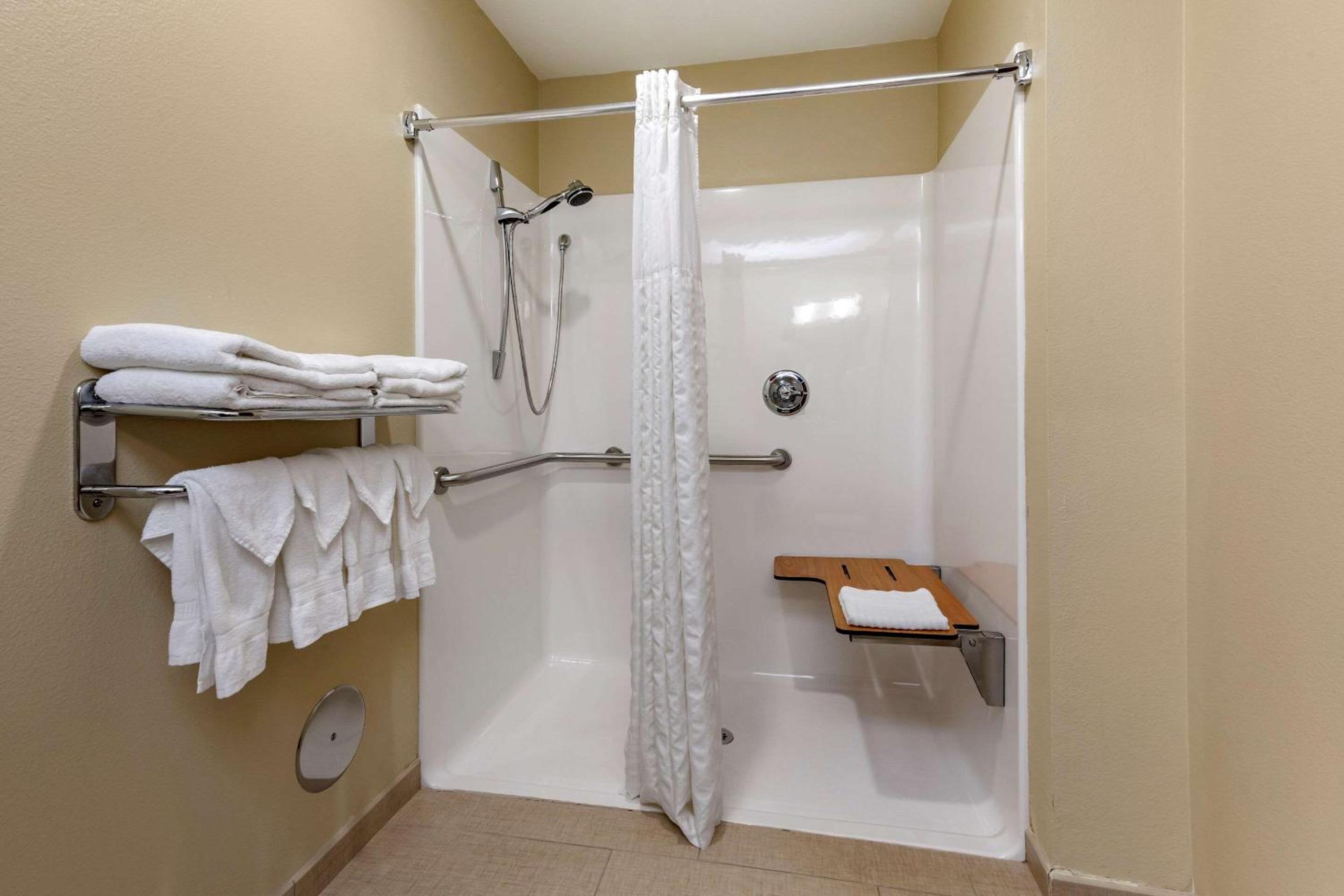 King Suite with Roll-In Shower - Accessible/Non-Smoking - Photo 2