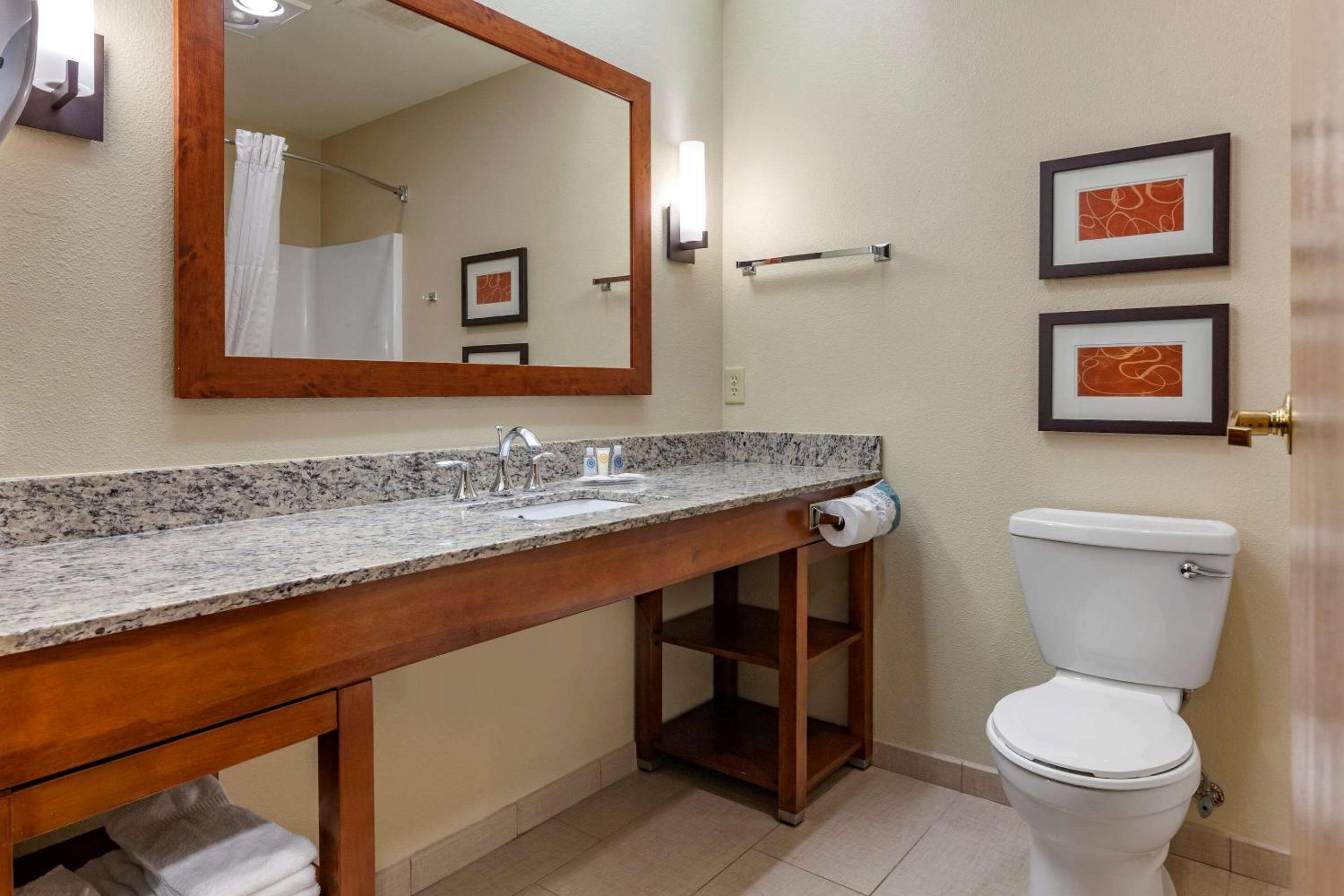 King Suite - Non-Smoking - Photo 5