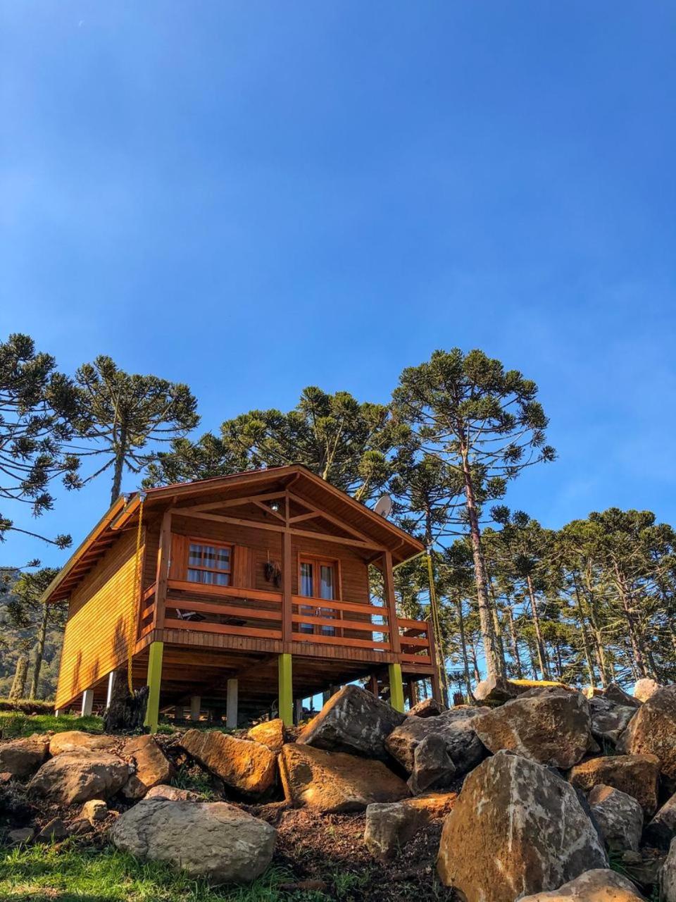 Family Bungalow - Photo 2