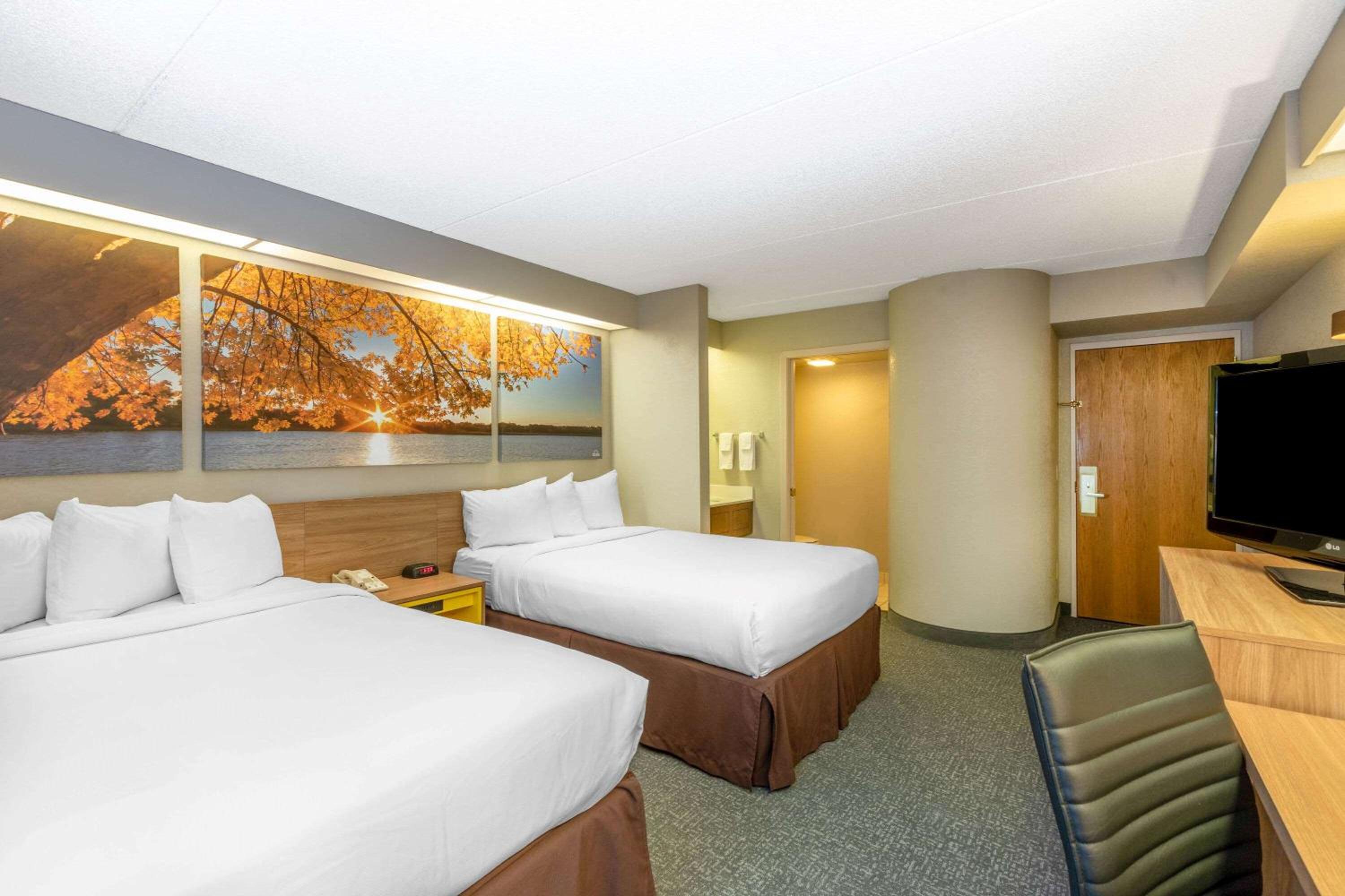 Standard Double Room with Two Double Beds - Non-Smoking - Photo 5