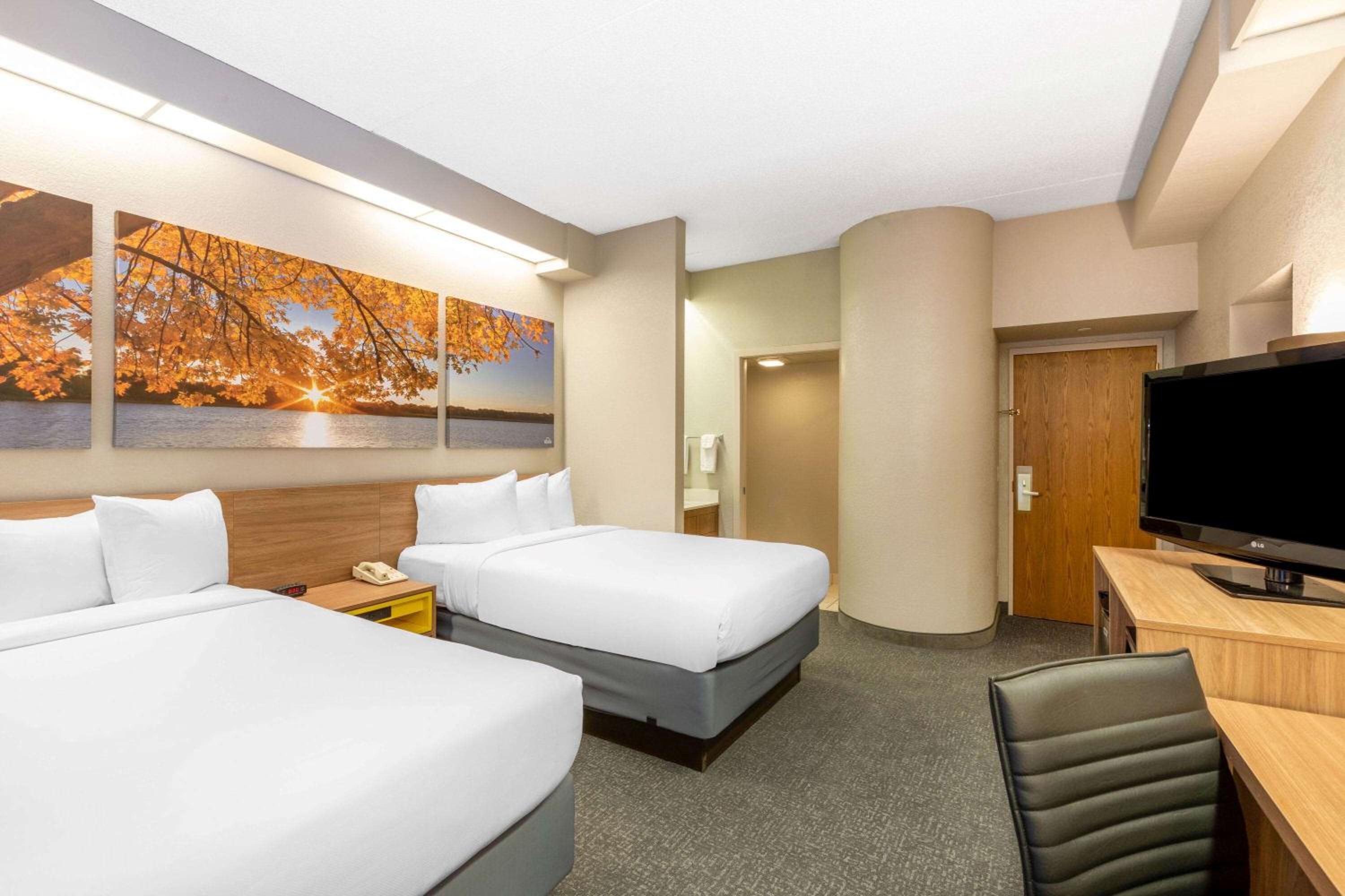 2 Double Beds, Suite, Non-Smoking photo 1