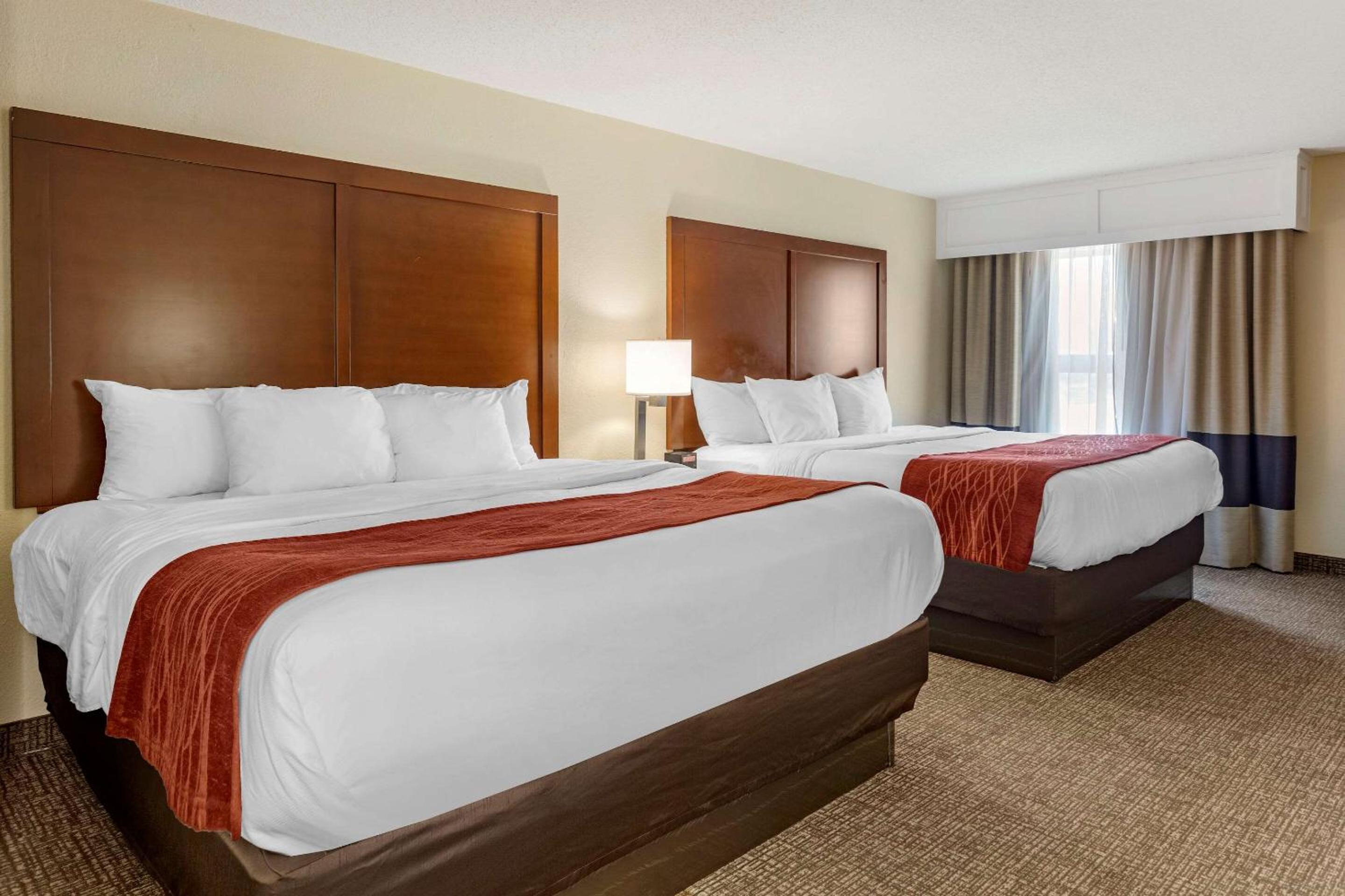 King Suite  with Two King Beds and Sofa Bed - Non-Smoking photo 1