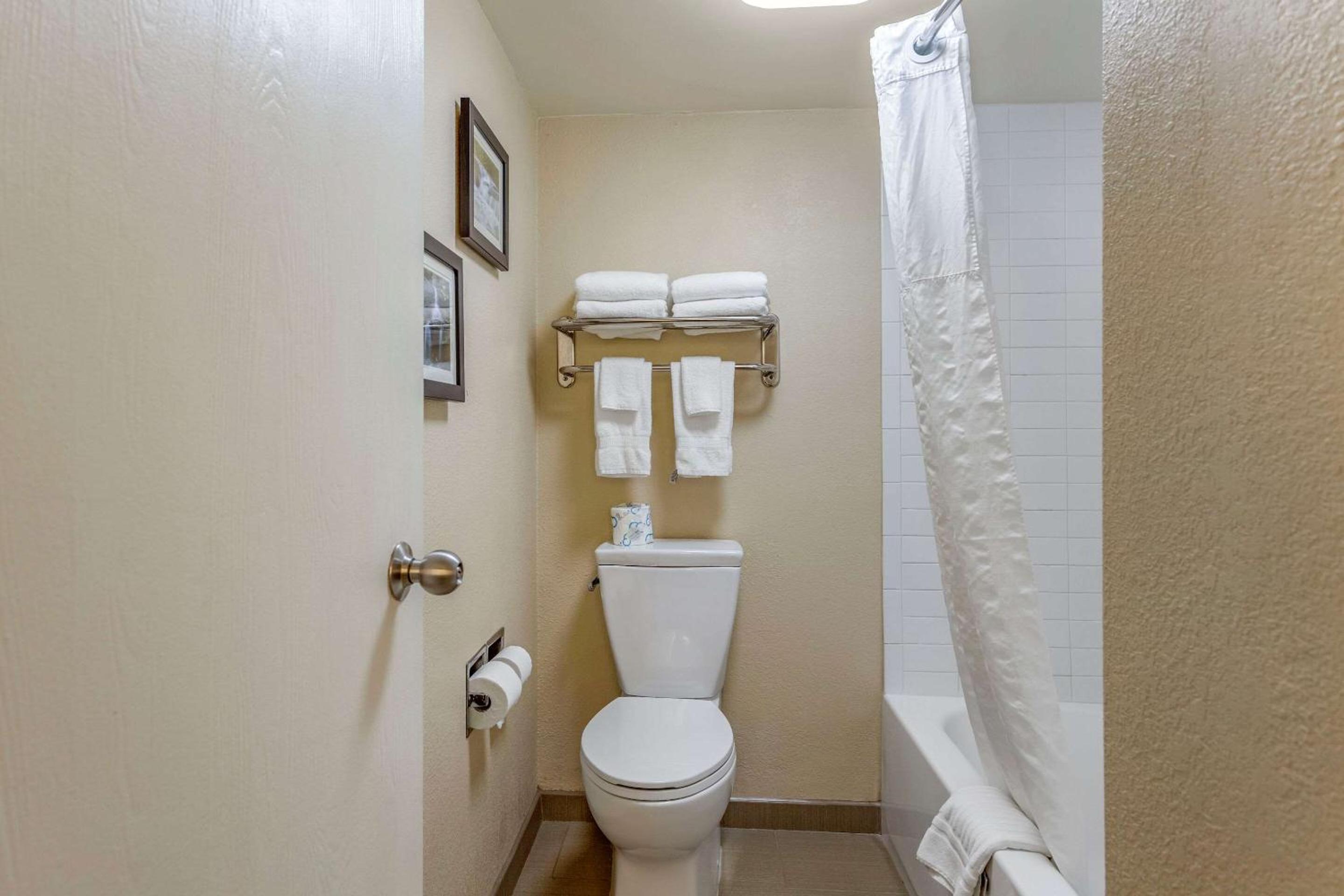 King Room - Non-Smoking - Photo 4
