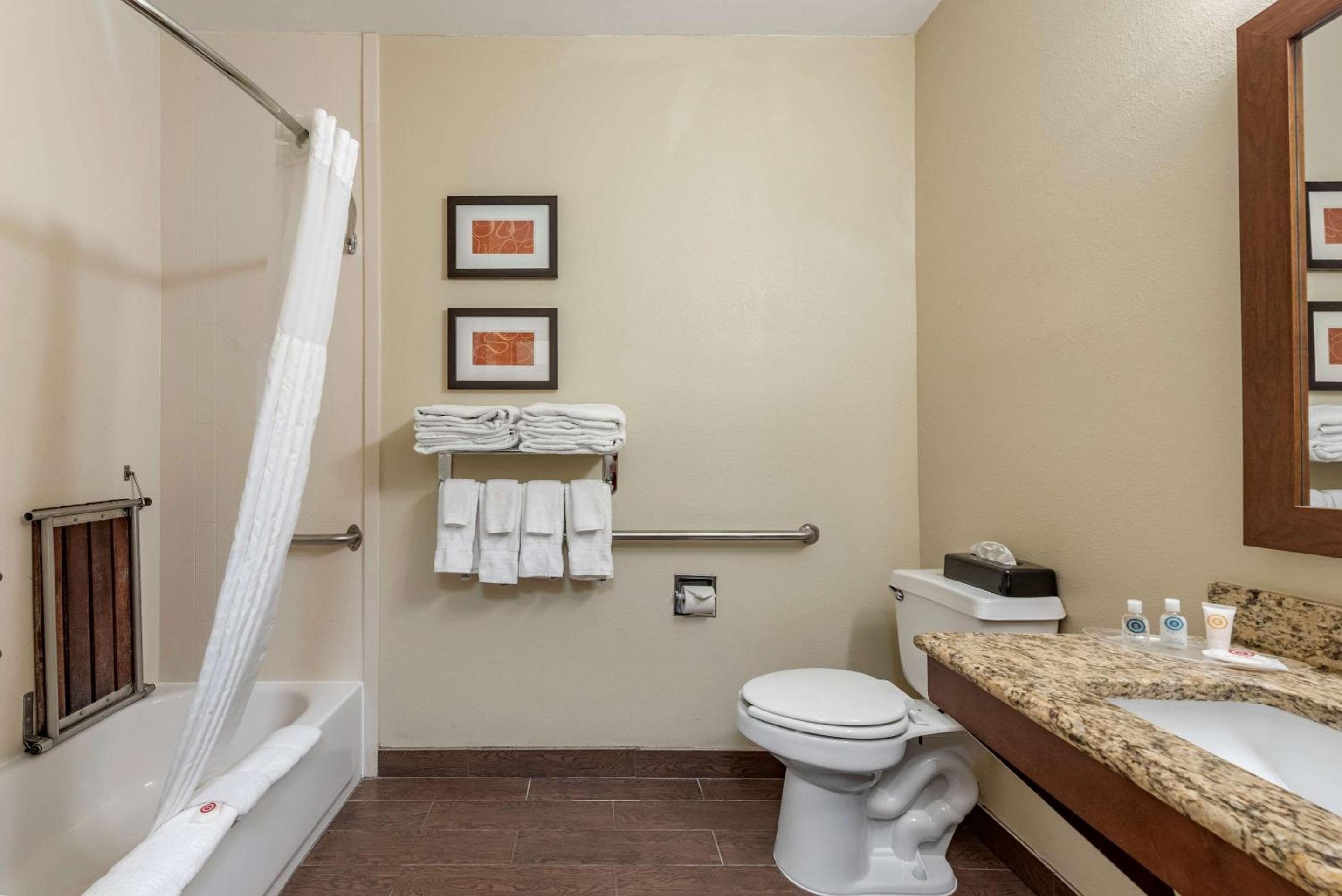 King Suite - Accessible/Non-Smoking - Photo 7