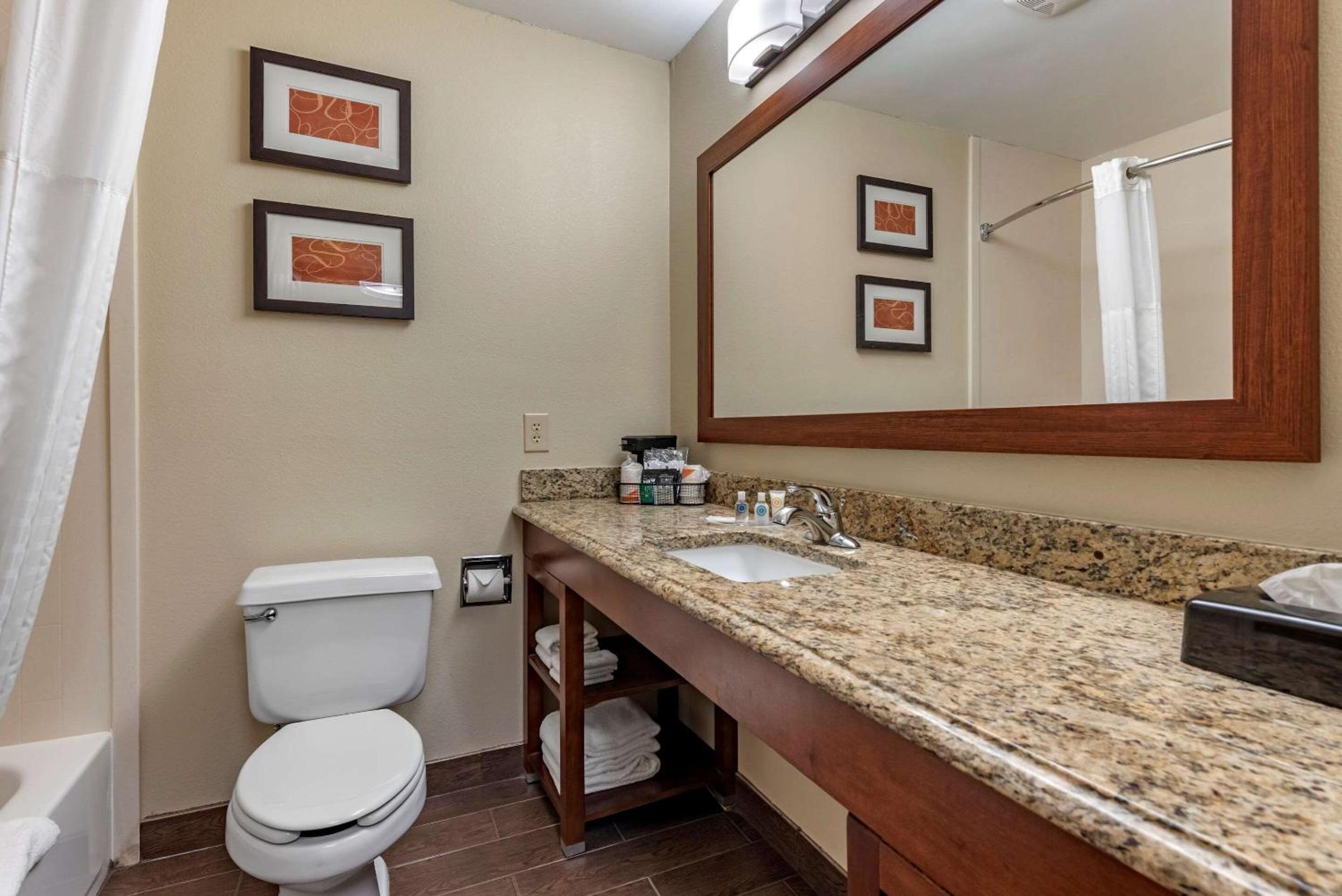 King Suite - Non-Smoking - Photo 15