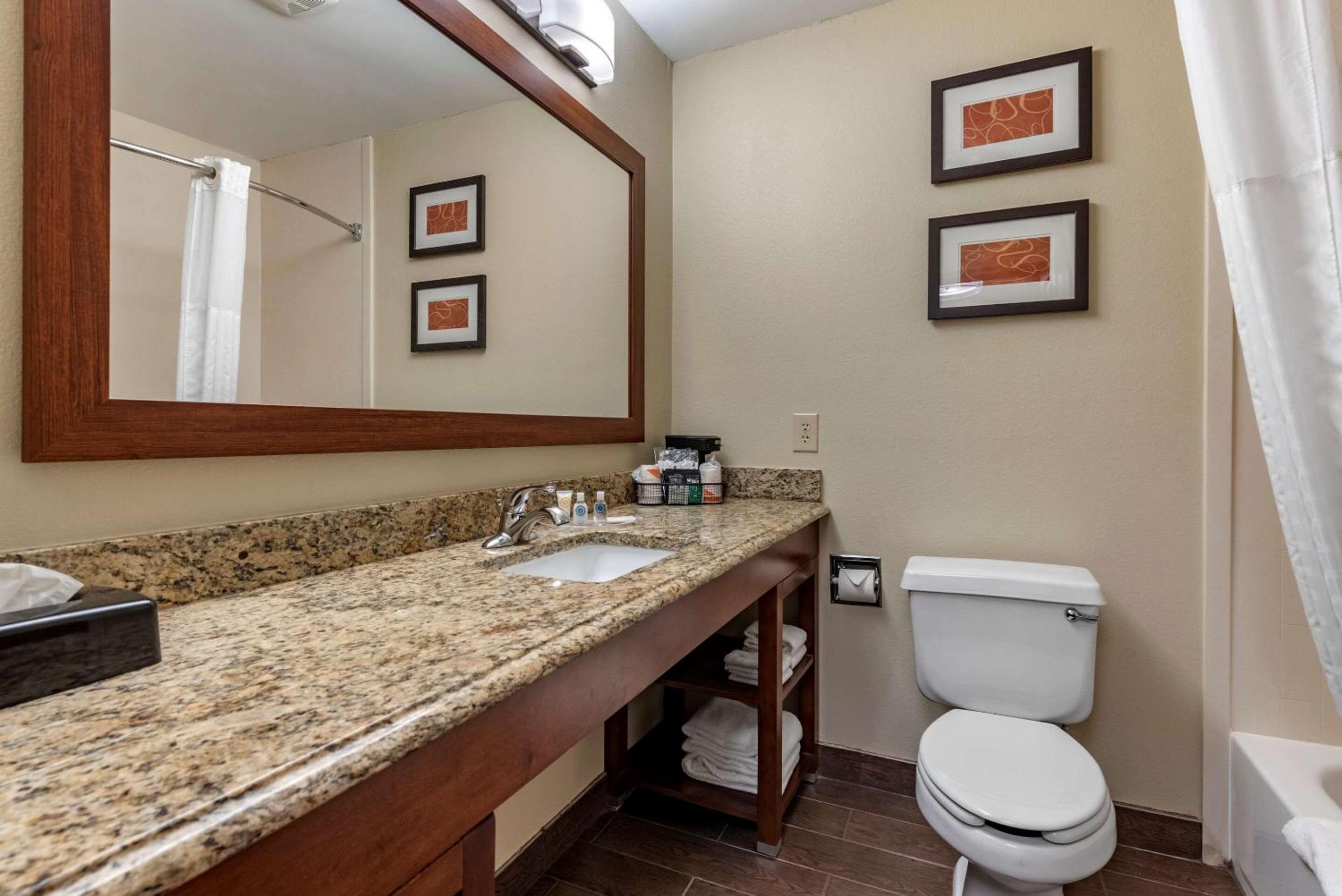 King Suite - Non-Smoking - Photo 10