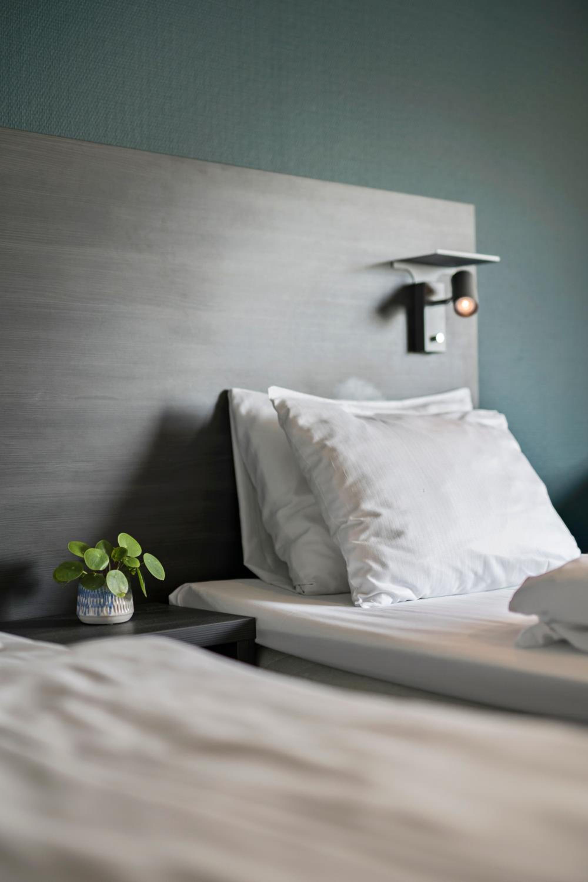 Standard Twin Room - Photo 4