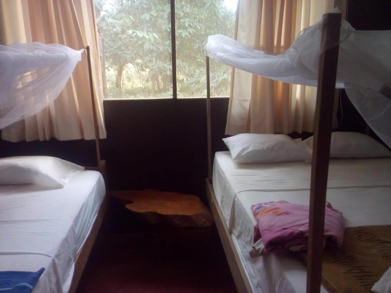 Double or Twin Room with Private Bathroom photo 1