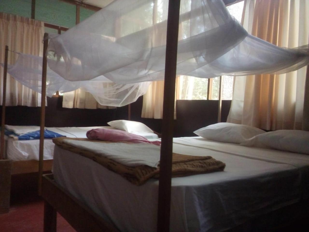 Triple Room with Private Bathroom photo 1