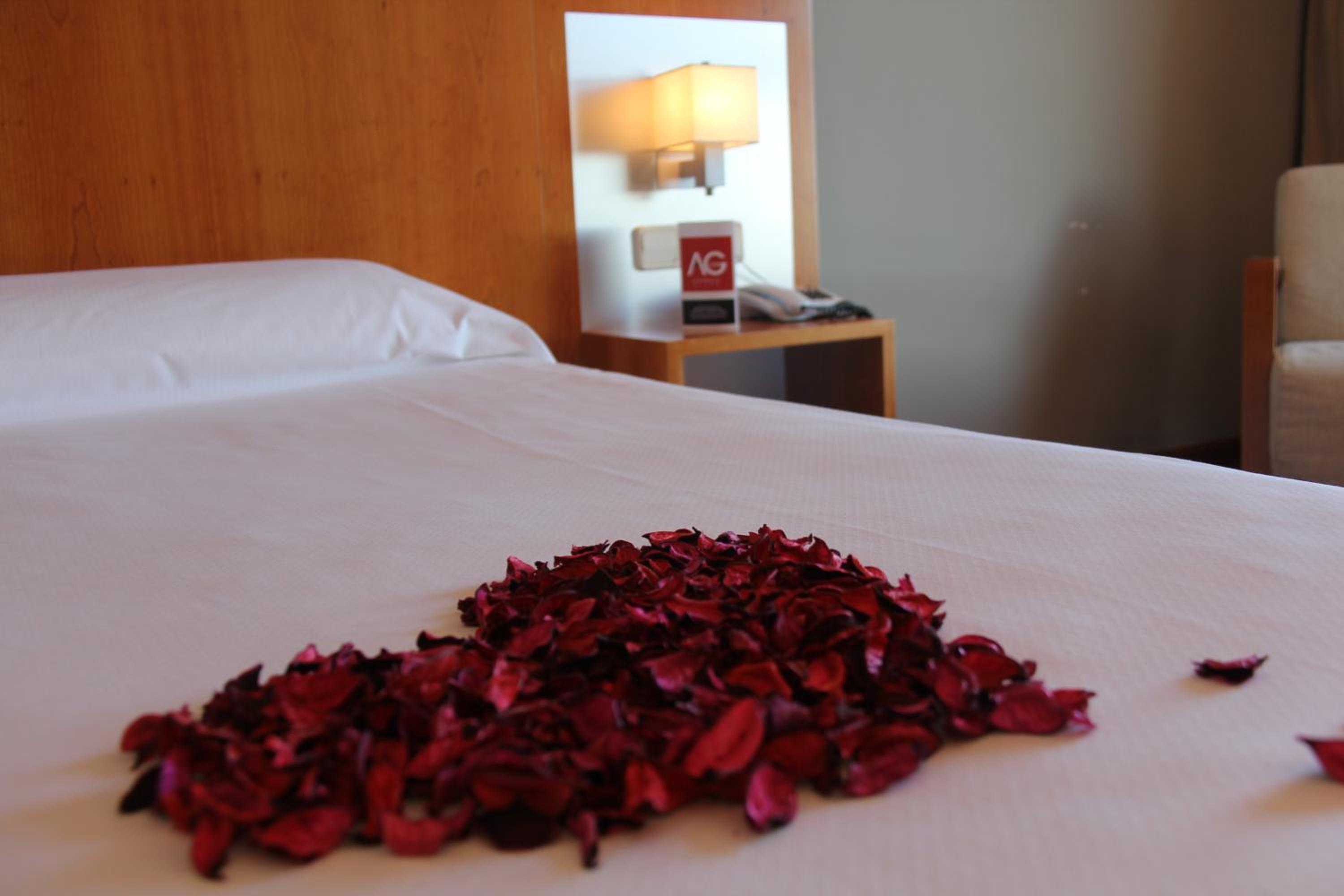 Standard Double or Twin Room - Photo 8