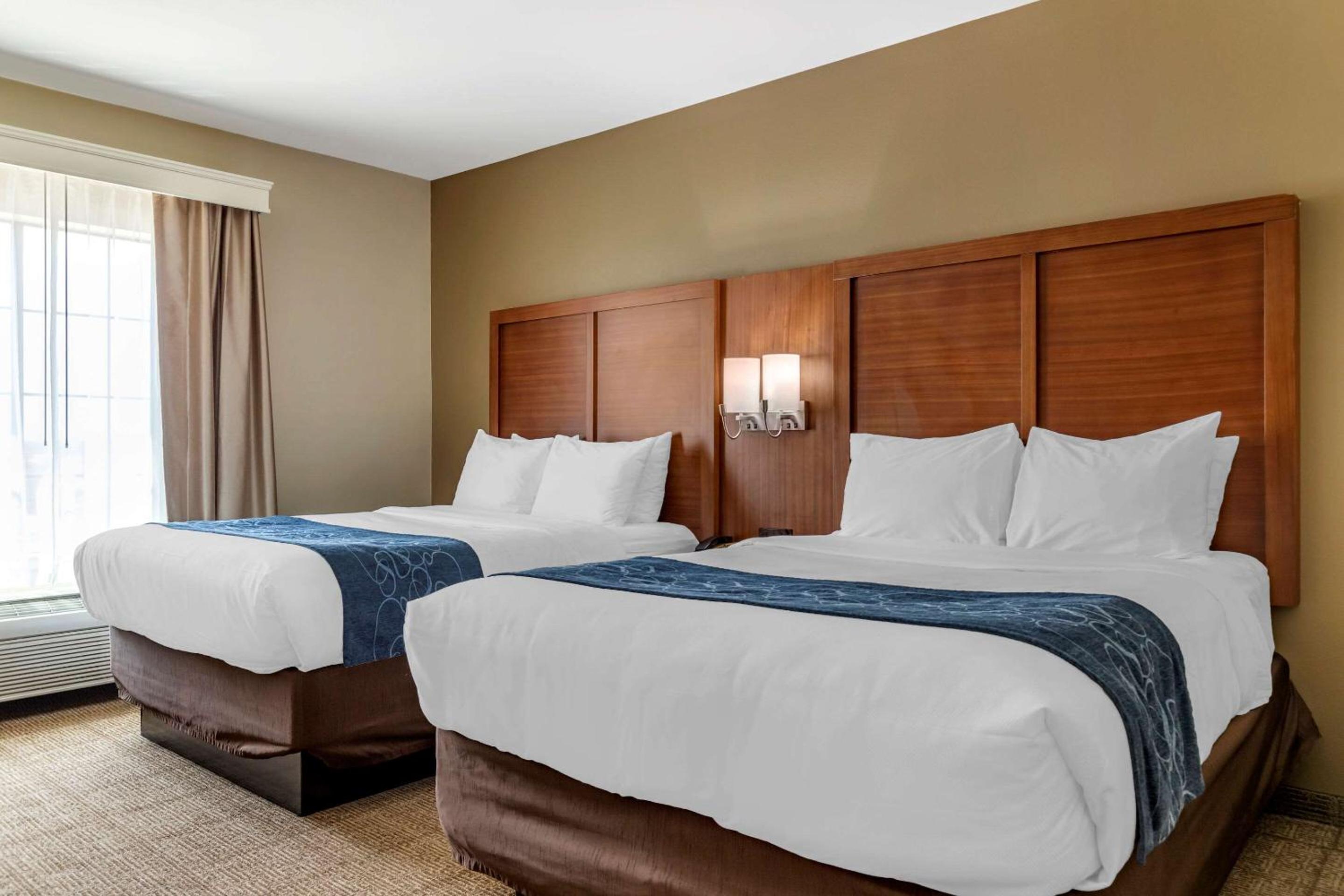 Queen Suite with Two Queen Beds - Non-Smoking - Photo 1