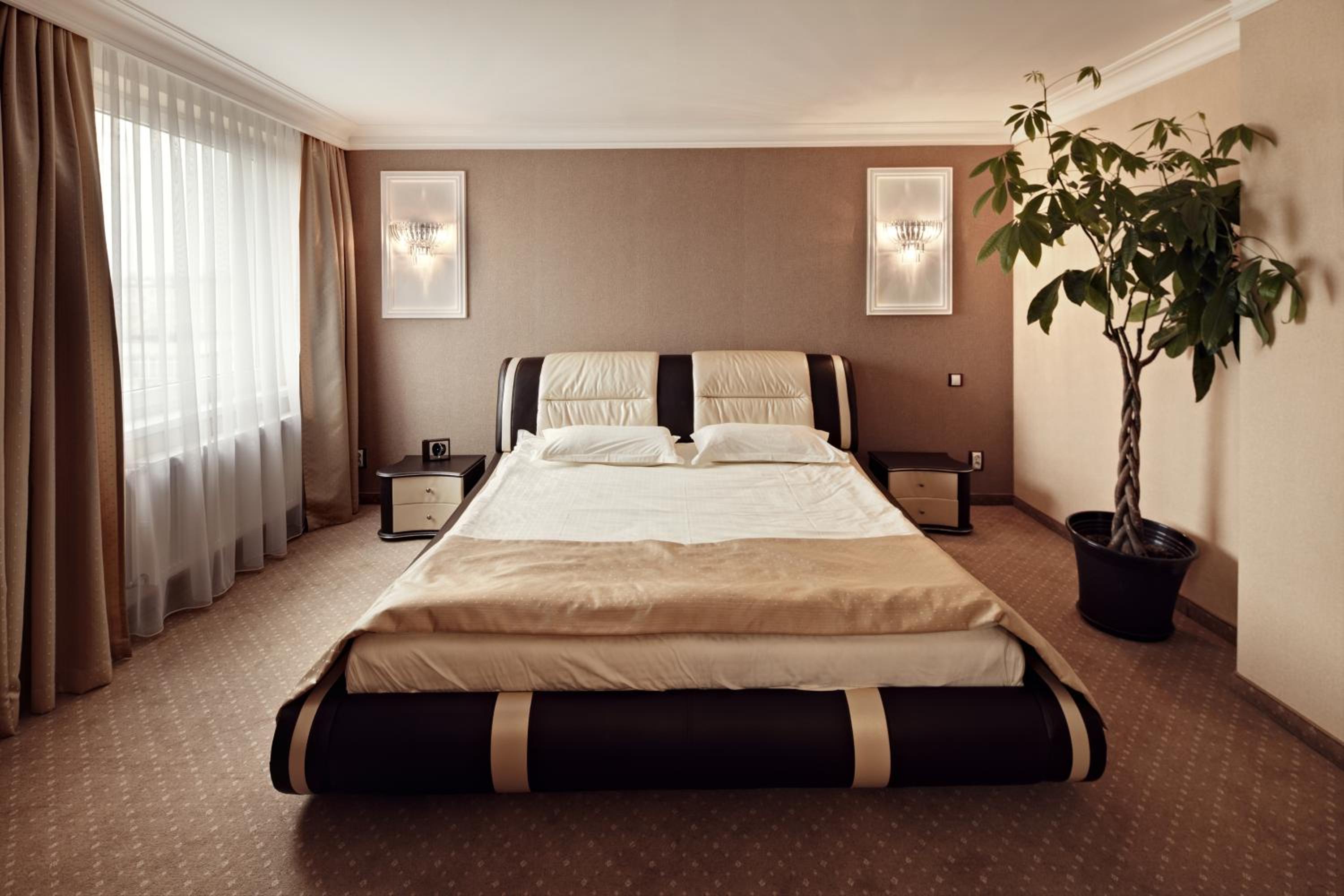 Junior Suite - Photo 4