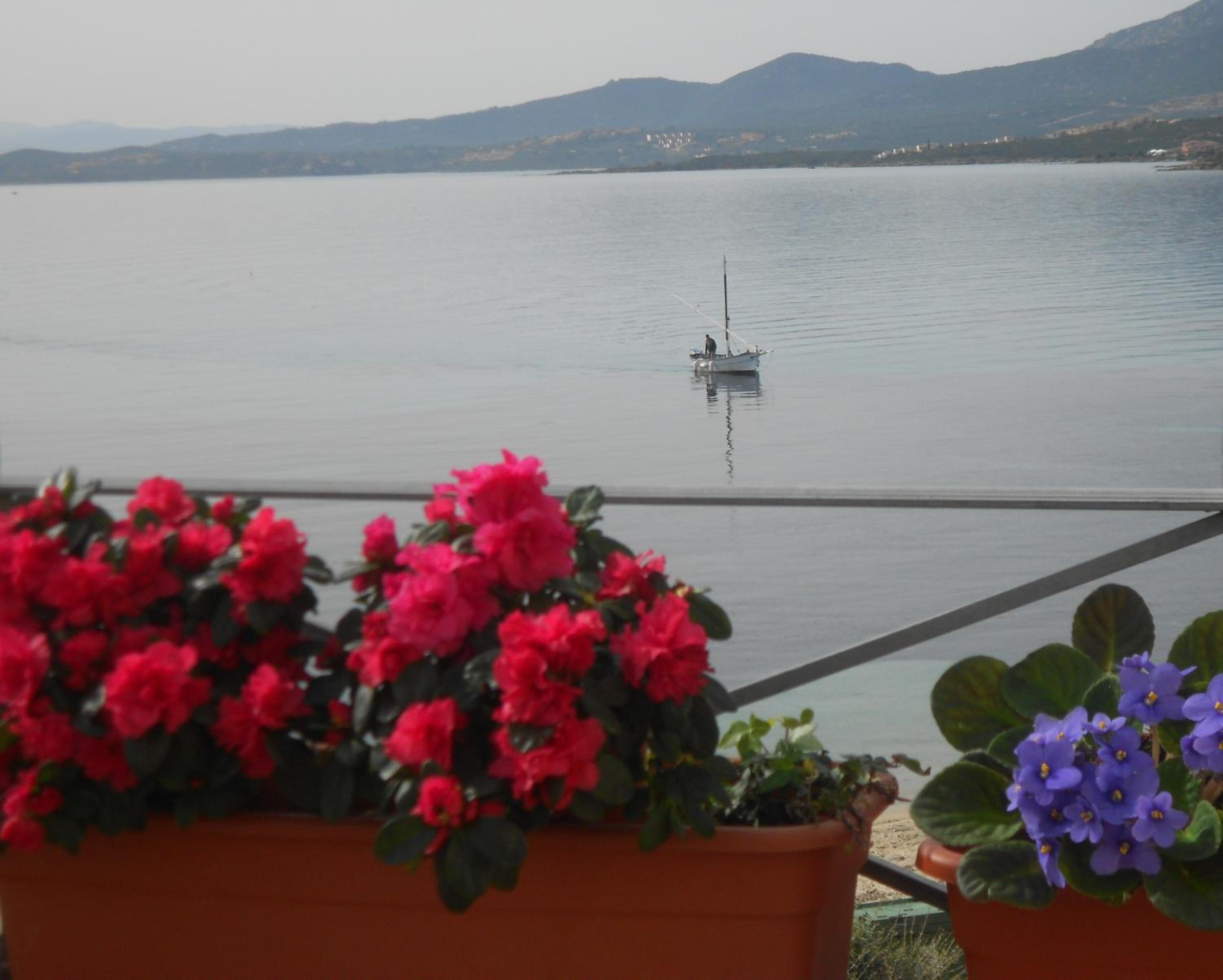 Suite with Terrace photo 2