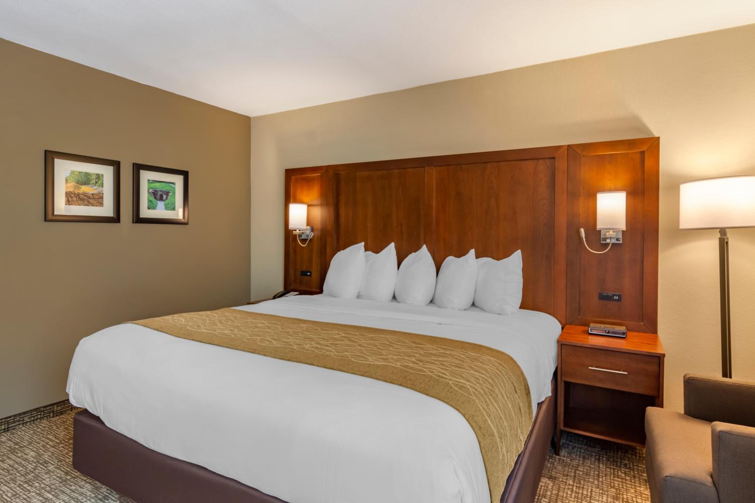 King Room - Non-Smoking - Photo 1