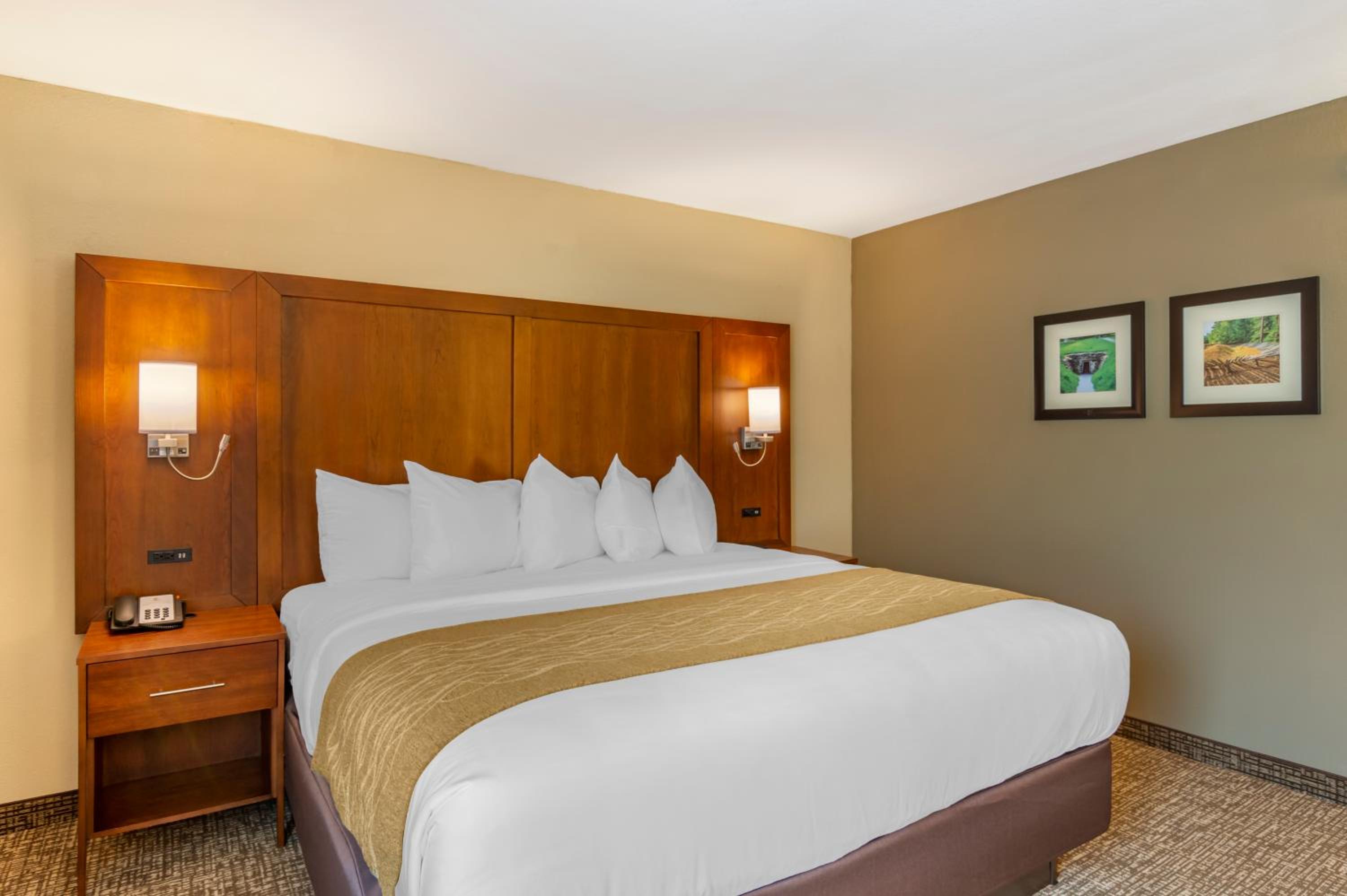 King Room - Non-Smoking - Photo 6