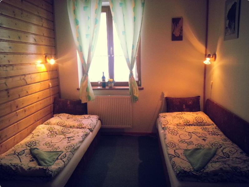 Twin Room photo 1