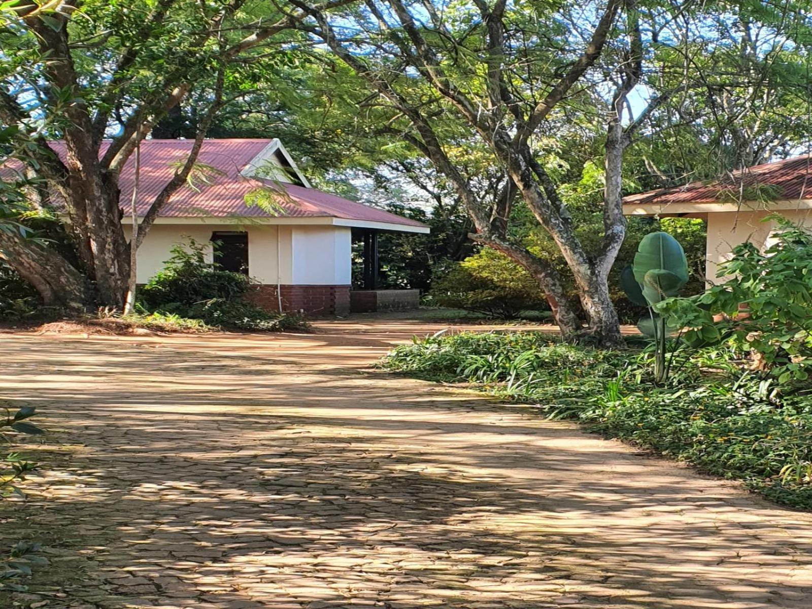 Bungalow - Photo 28