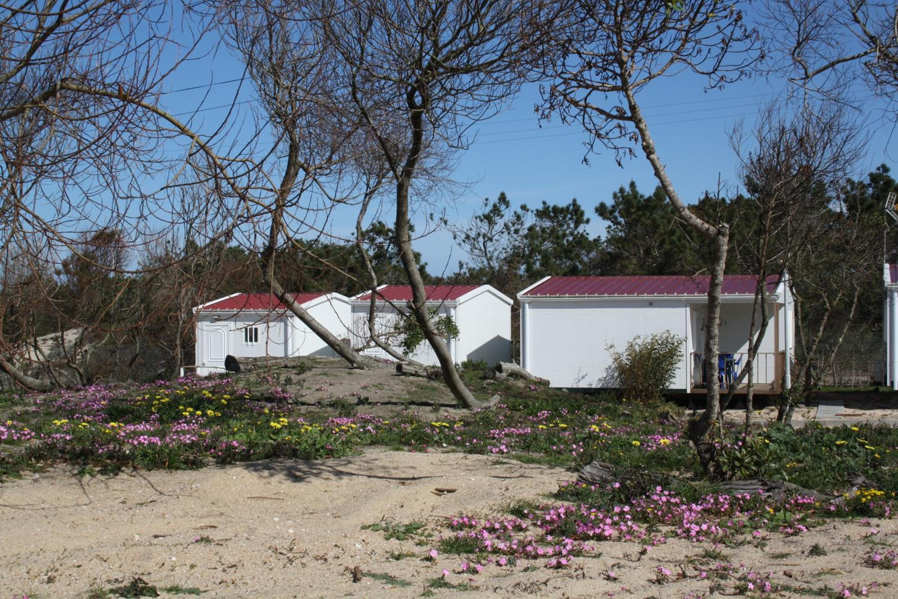 One-Bedroom Bungalow - Photo 2